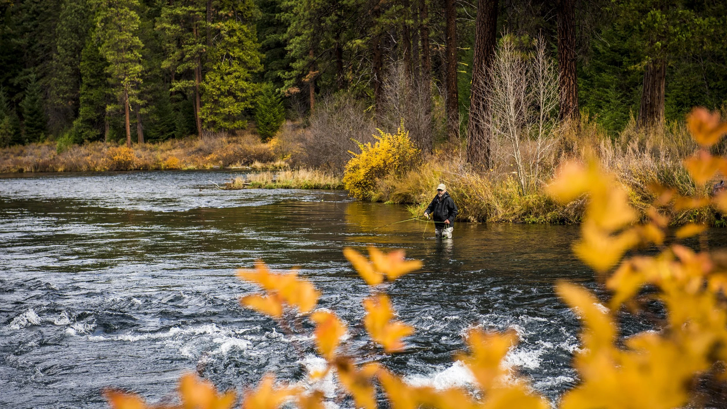 Fall Colors at teh Metolius