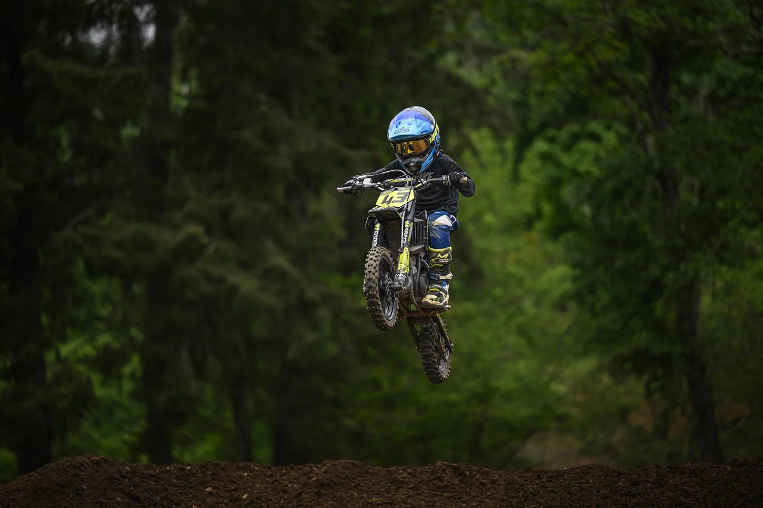 SandyMX161WEB.jpg
