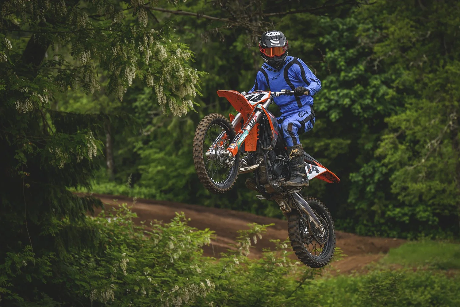 SandyMX68WEB.jpg