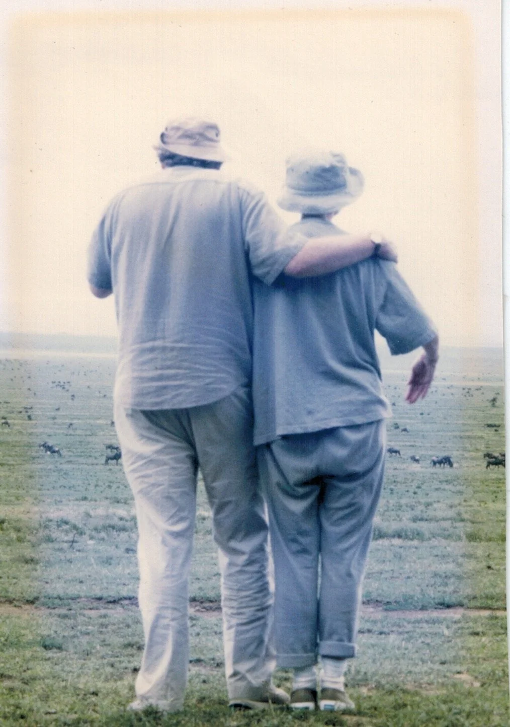 serengeti.JPG
