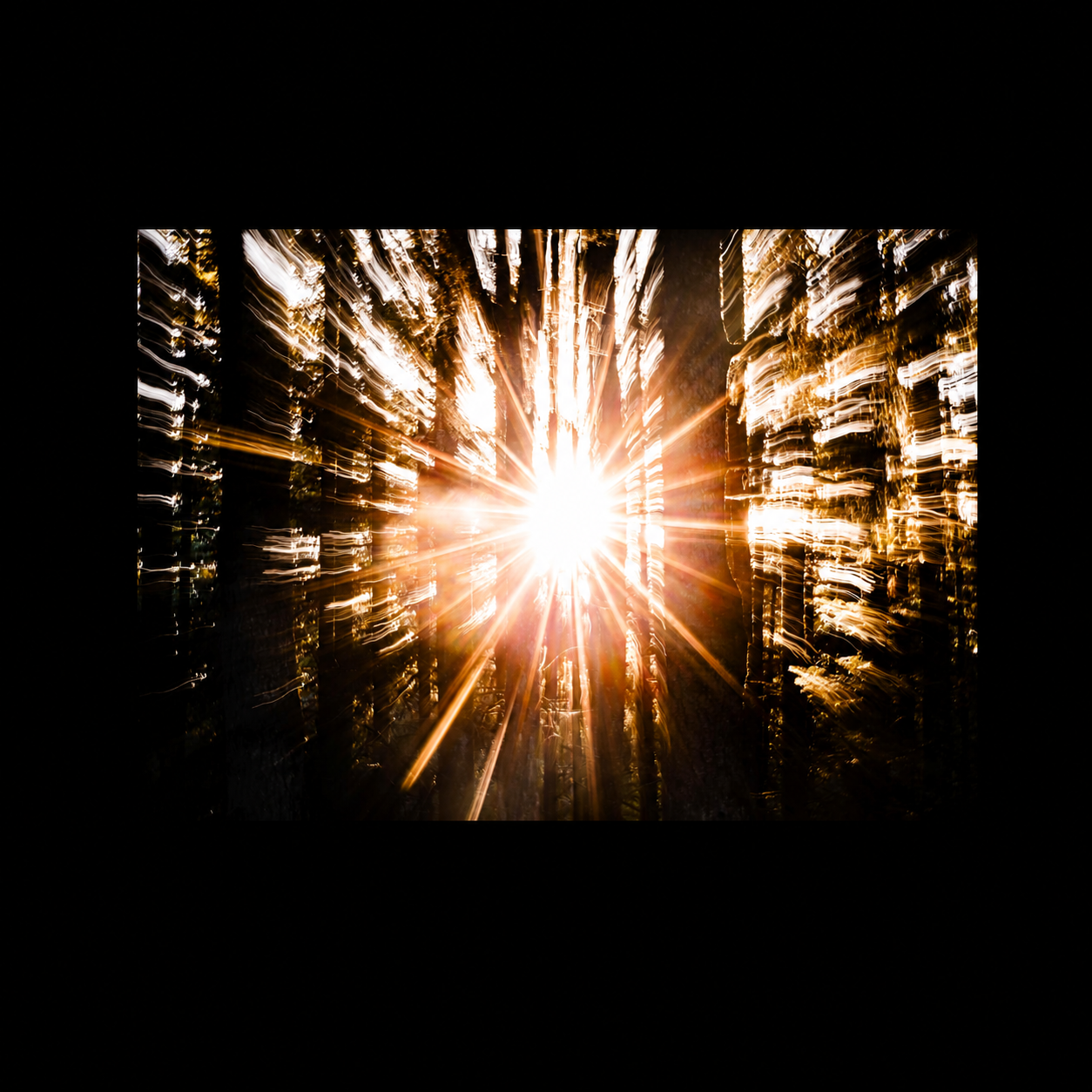 Beyond abstract forest photograph presented in full against a black background