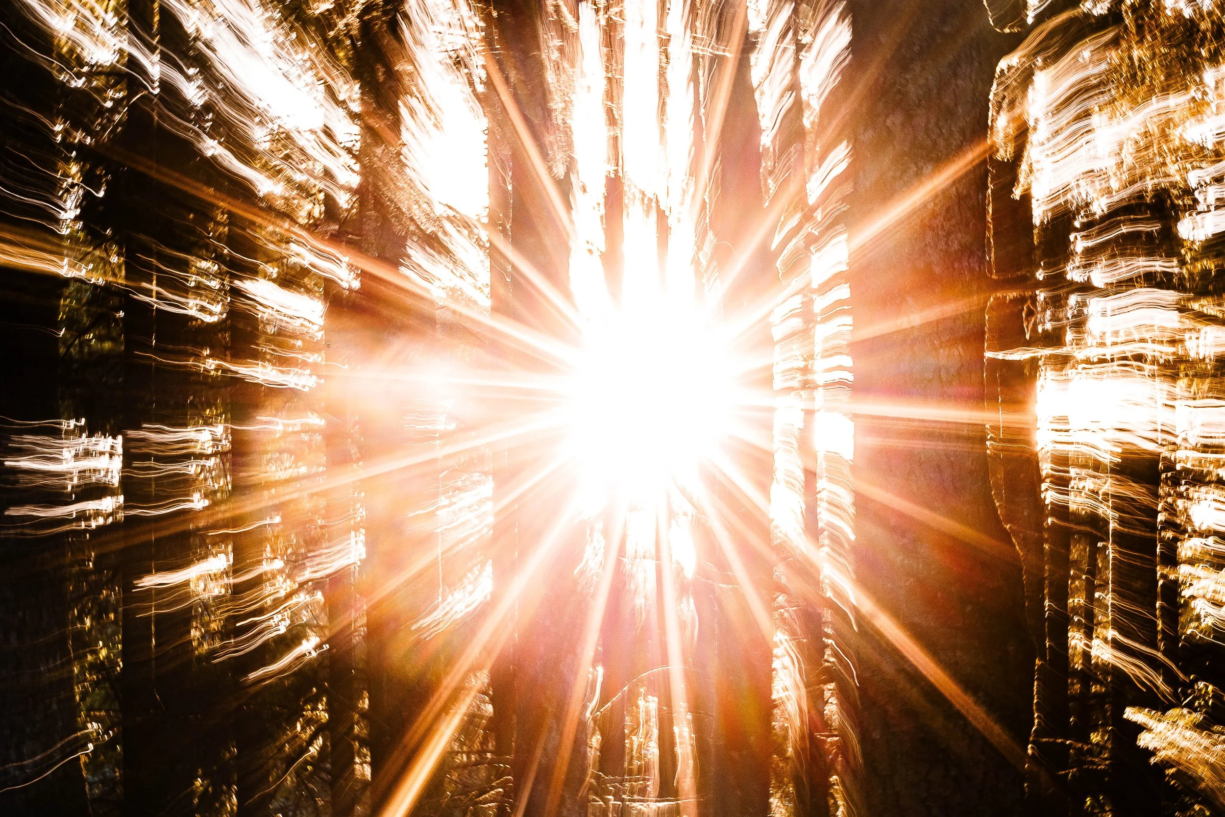 Close detail of the central sunburst and sweeping golden light streaks among dark tree forms