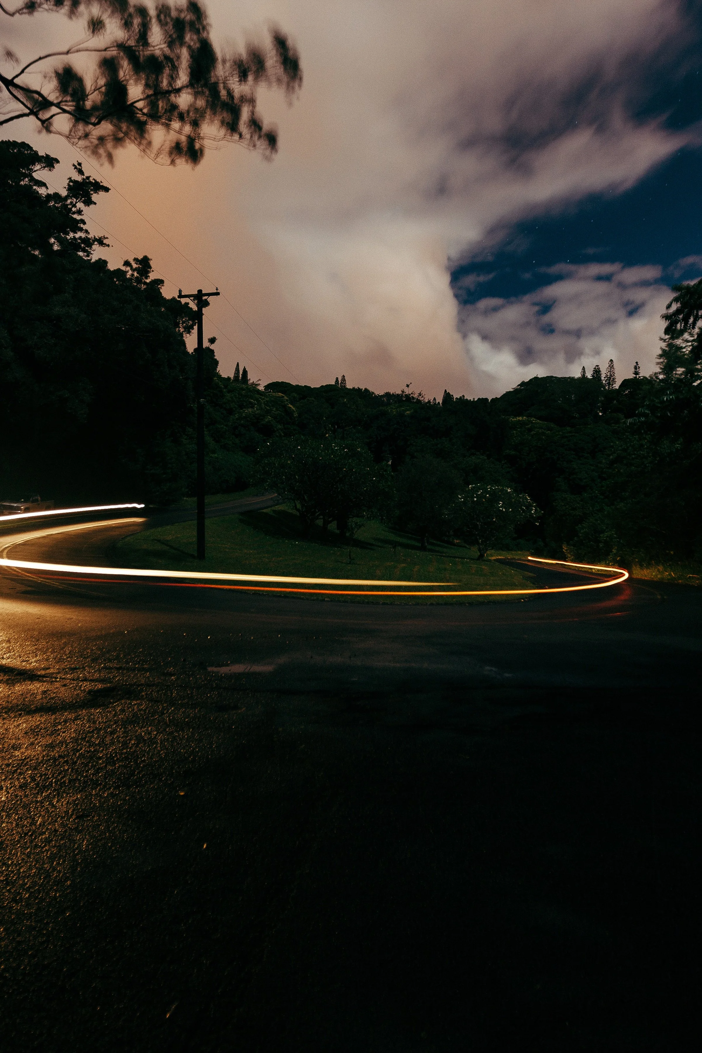Vertical detail of the bright switchback light trail, road signs, trees, and reflective pavement