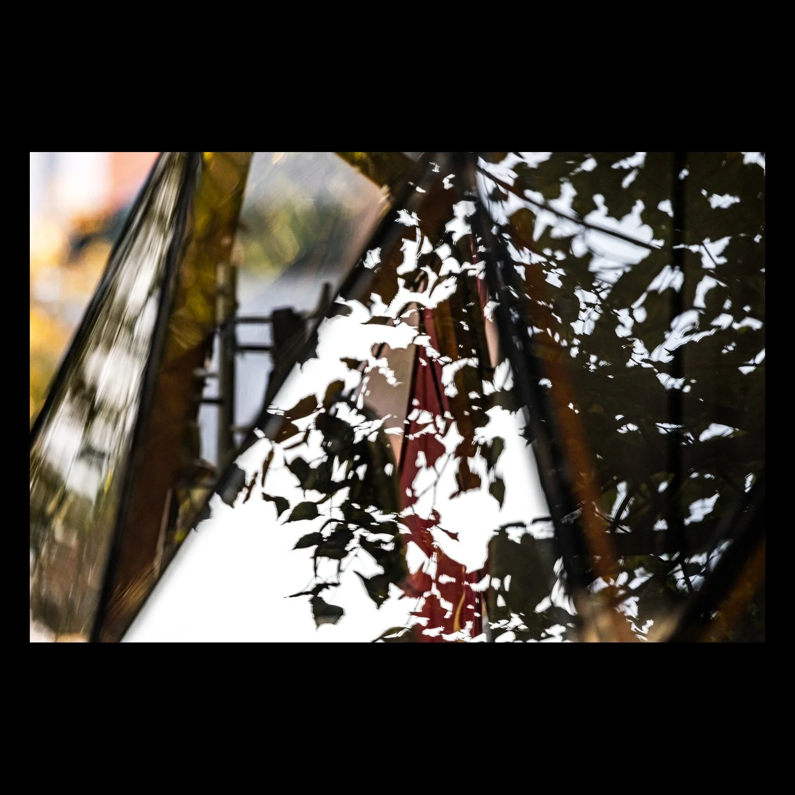 Autumn Signal abstract reflection photograph presented in full against a black background
