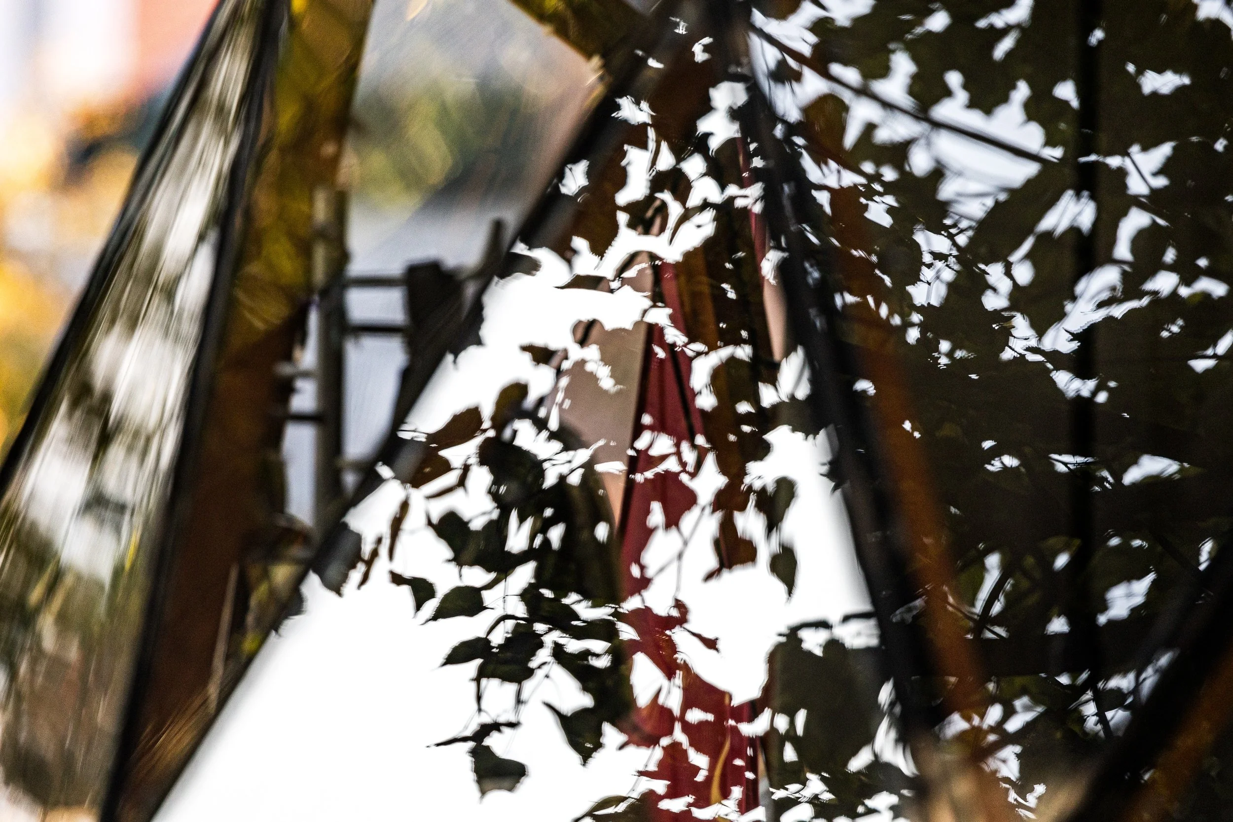 Water reflection of dark leaves, pale sky, warm foliage, and a narrow red form broken into fragments