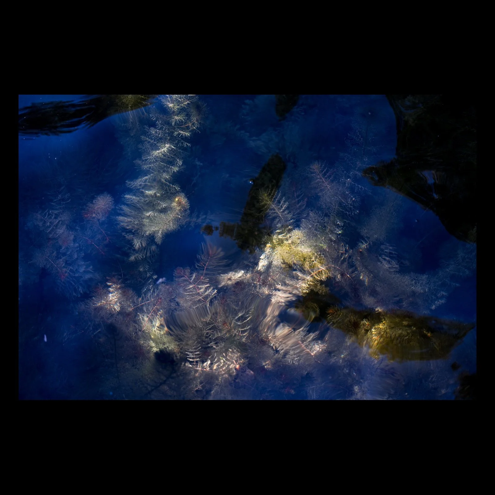 Reflective Renaissance abstract water photograph presented in full against a black background