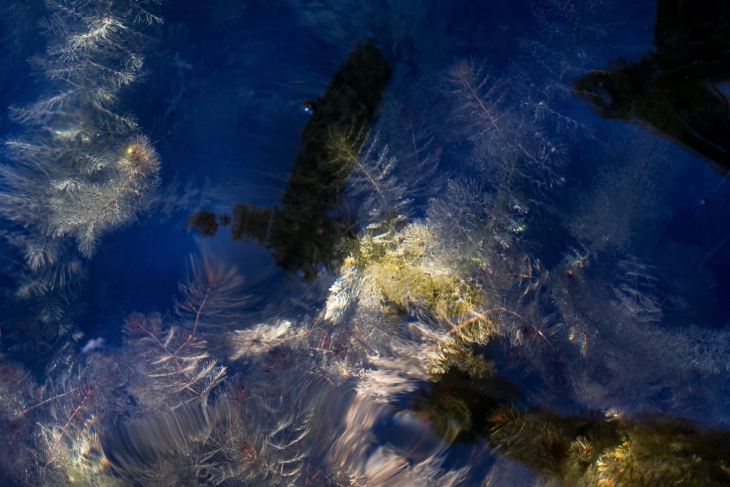 Close detail of layered blue reflections, pale shapes, ripples, and surface texture