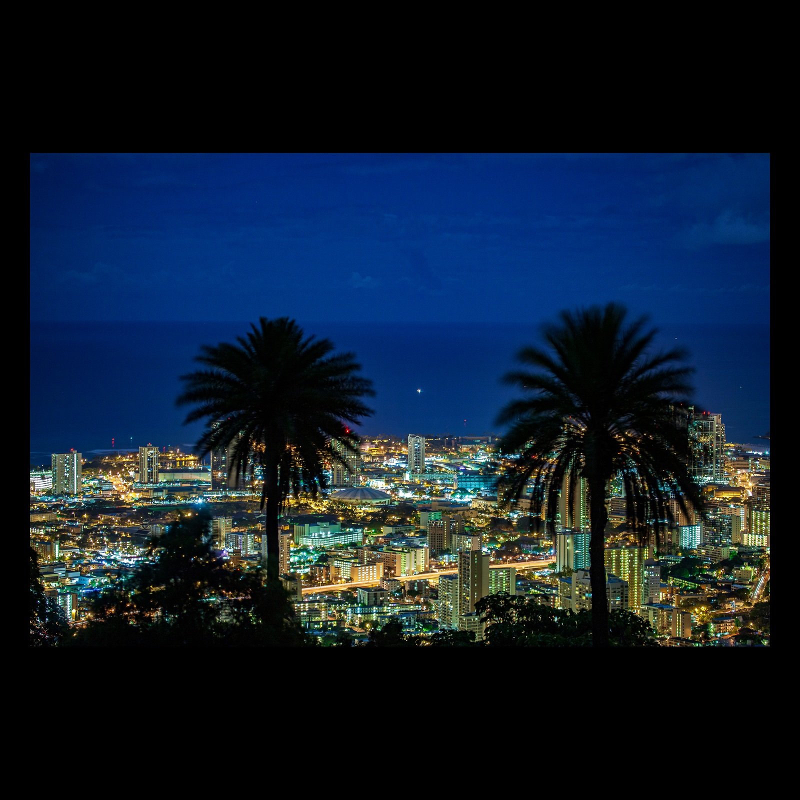 Full-frame black presentation thumbnail of Between the Palms, showing two palm silhouettes frame a blue-hour city glowing across the lower half of the image