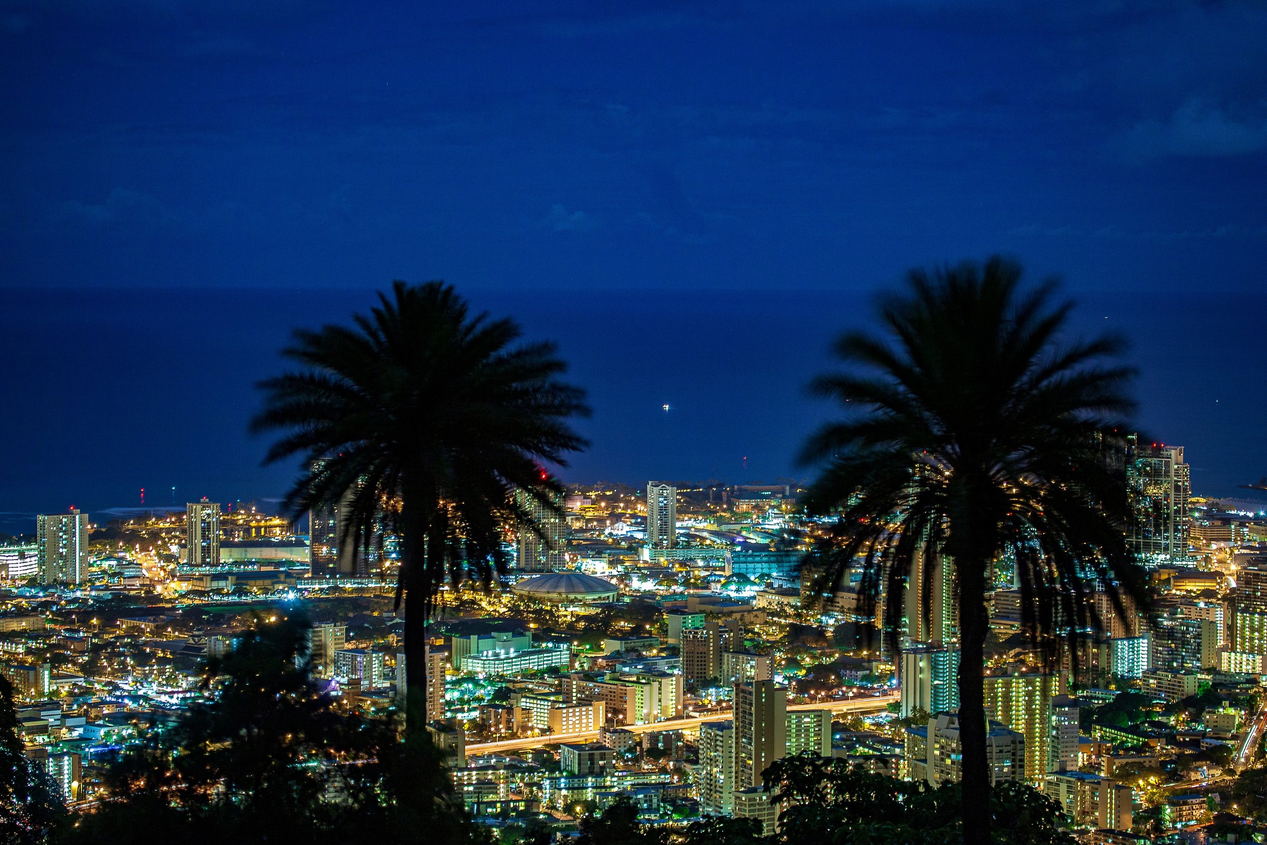 Complete uncropped artwork for Between the Palms, showing two palm silhouettes frame a blue-hour city glowing across the lower half of the image