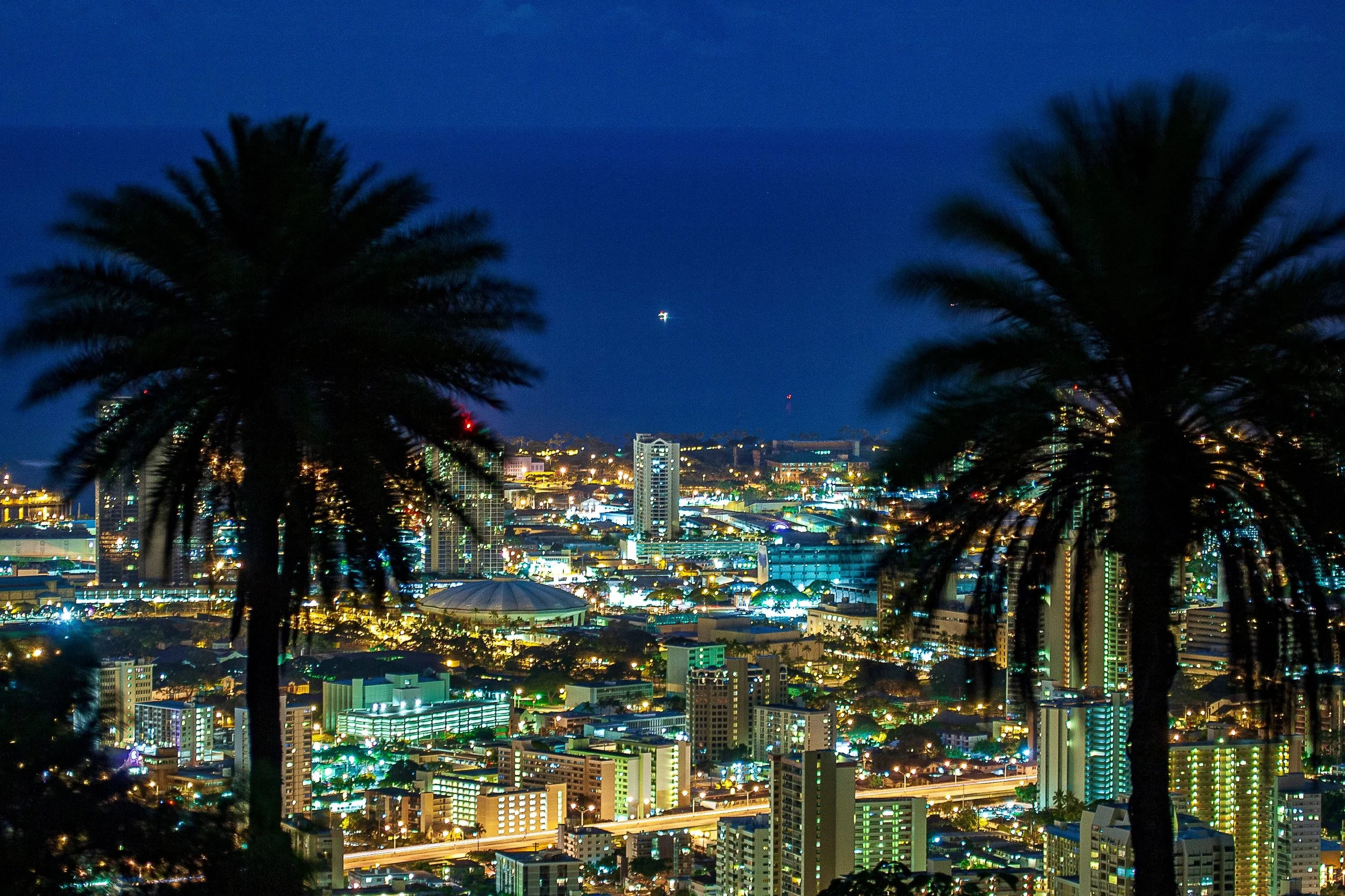 Detail crop from Between the Palms, emphasizing the small points of city light become more distinct between the dark fronds