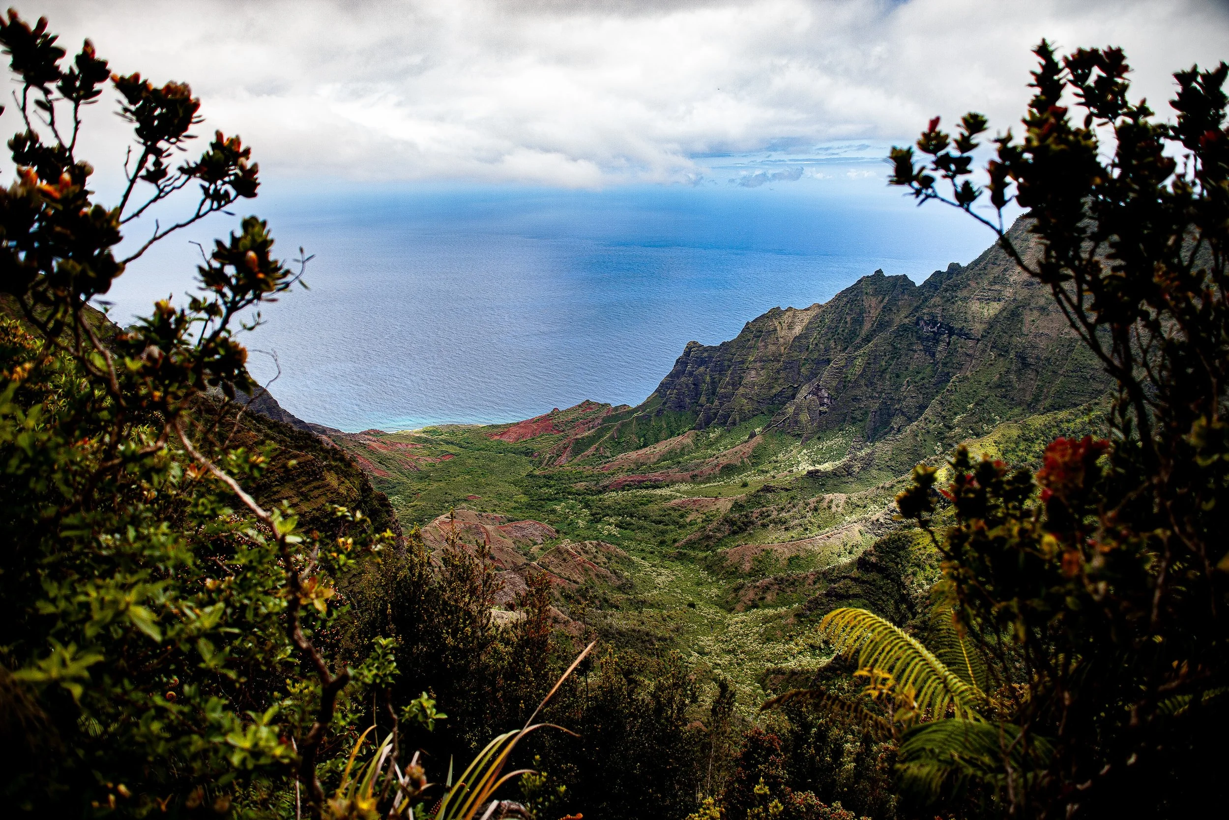 Complete uncropped artwork for Valley to the Sea, showing a green valley descends between steep ridges toward a calm blue ocean