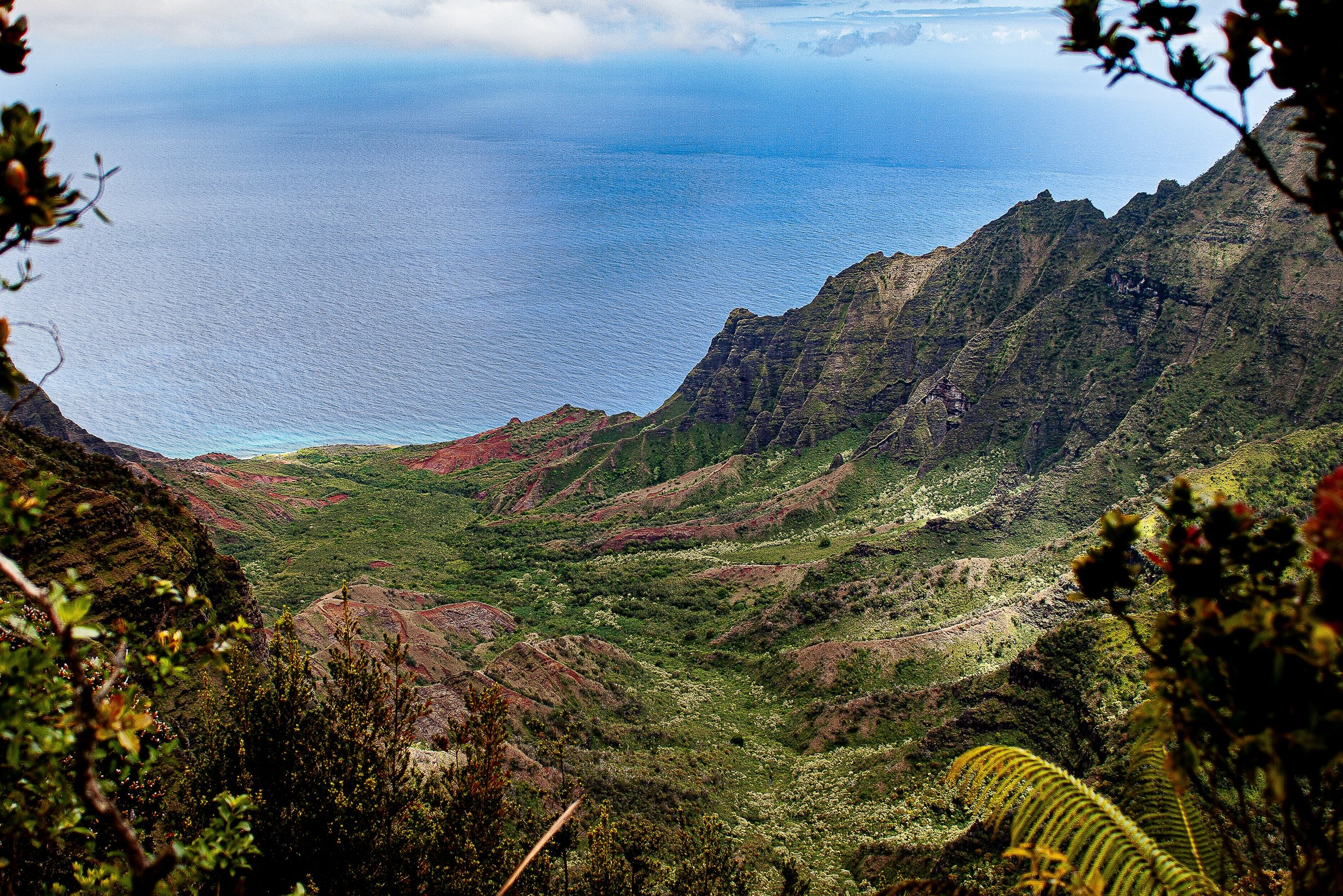 Detail crop from Valley to the Sea, emphasizing branches in the foreground add another layer of distance to the broad terrain