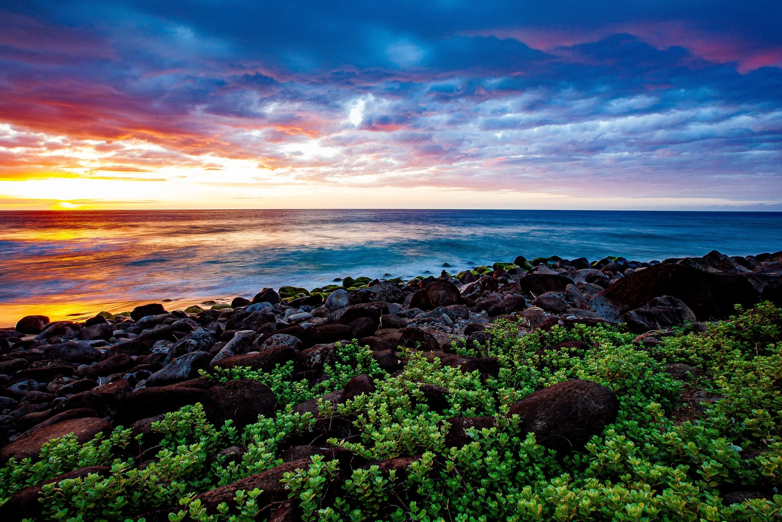Complete uncropped artwork for Edge of Color, showing a vivid sunset settles over dark coastal rocks and dense green shoreline plants