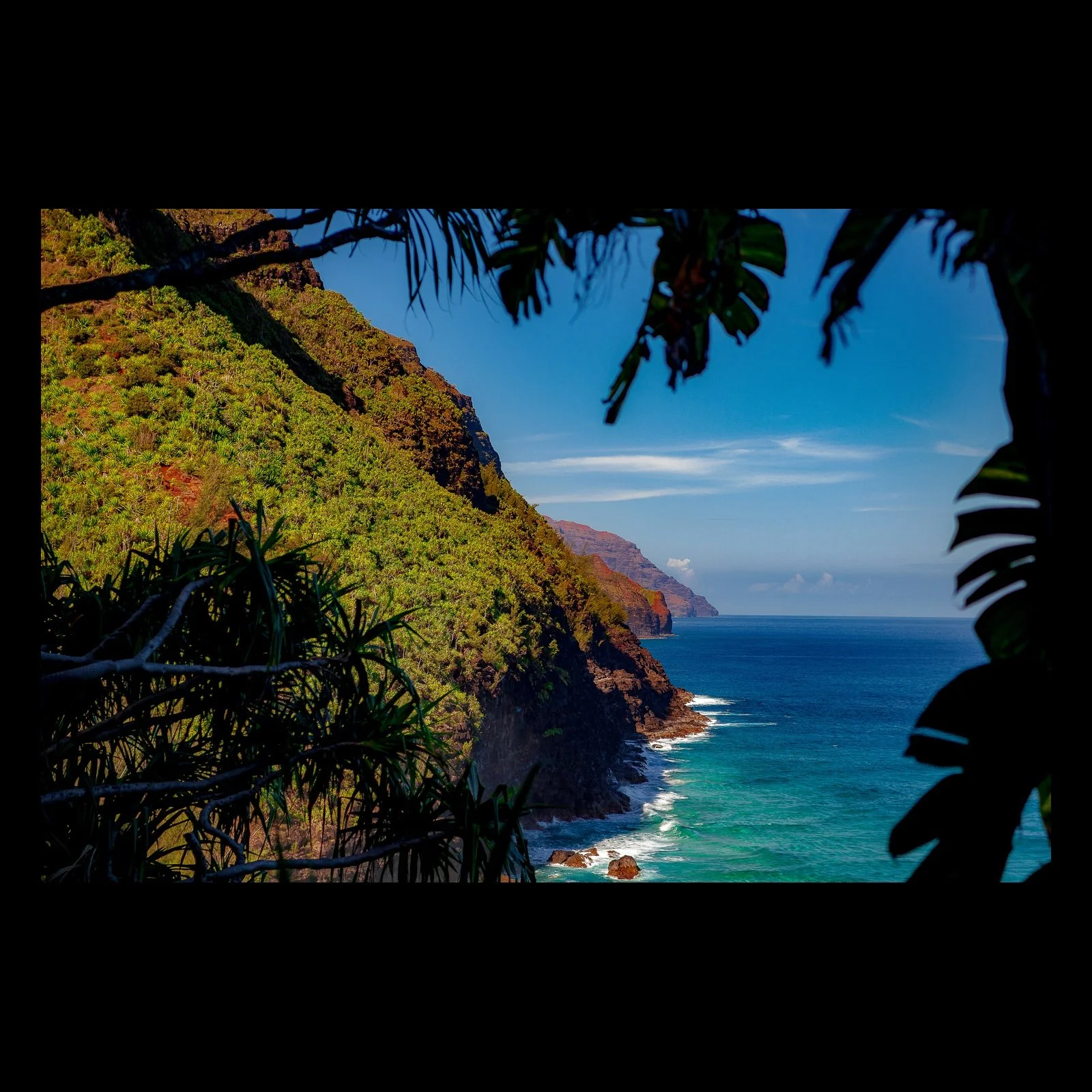 Full-frame black presentation thumbnail of Framed Coast, showing dark leaves and branches frame a steep green coast dropping into intensely blue water