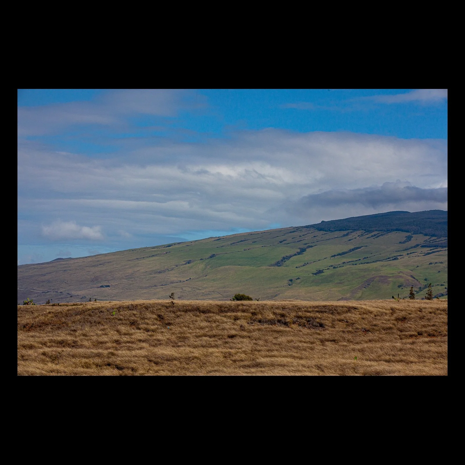 Full-frame black presentation thumbnail of Divided Ground, showing dry gold grass and green mountain pasture form broad horizontal layers under gray-blue clouds