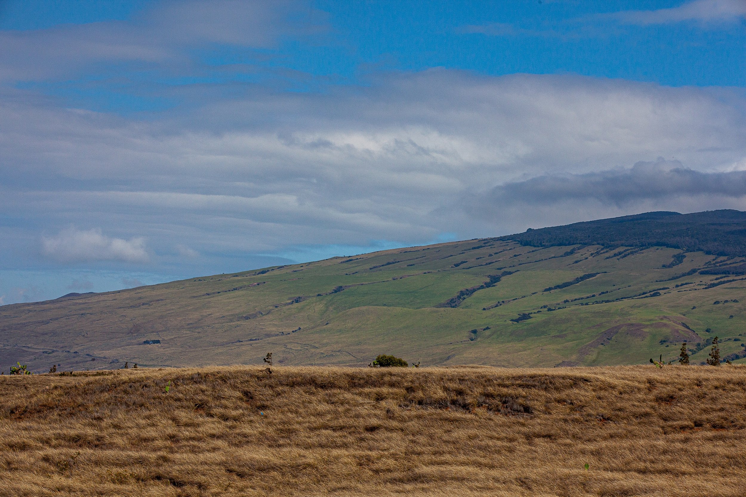 Complete uncropped artwork for Divided Ground, showing dry gold grass and green mountain pasture form broad horizontal layers under gray-blue clouds