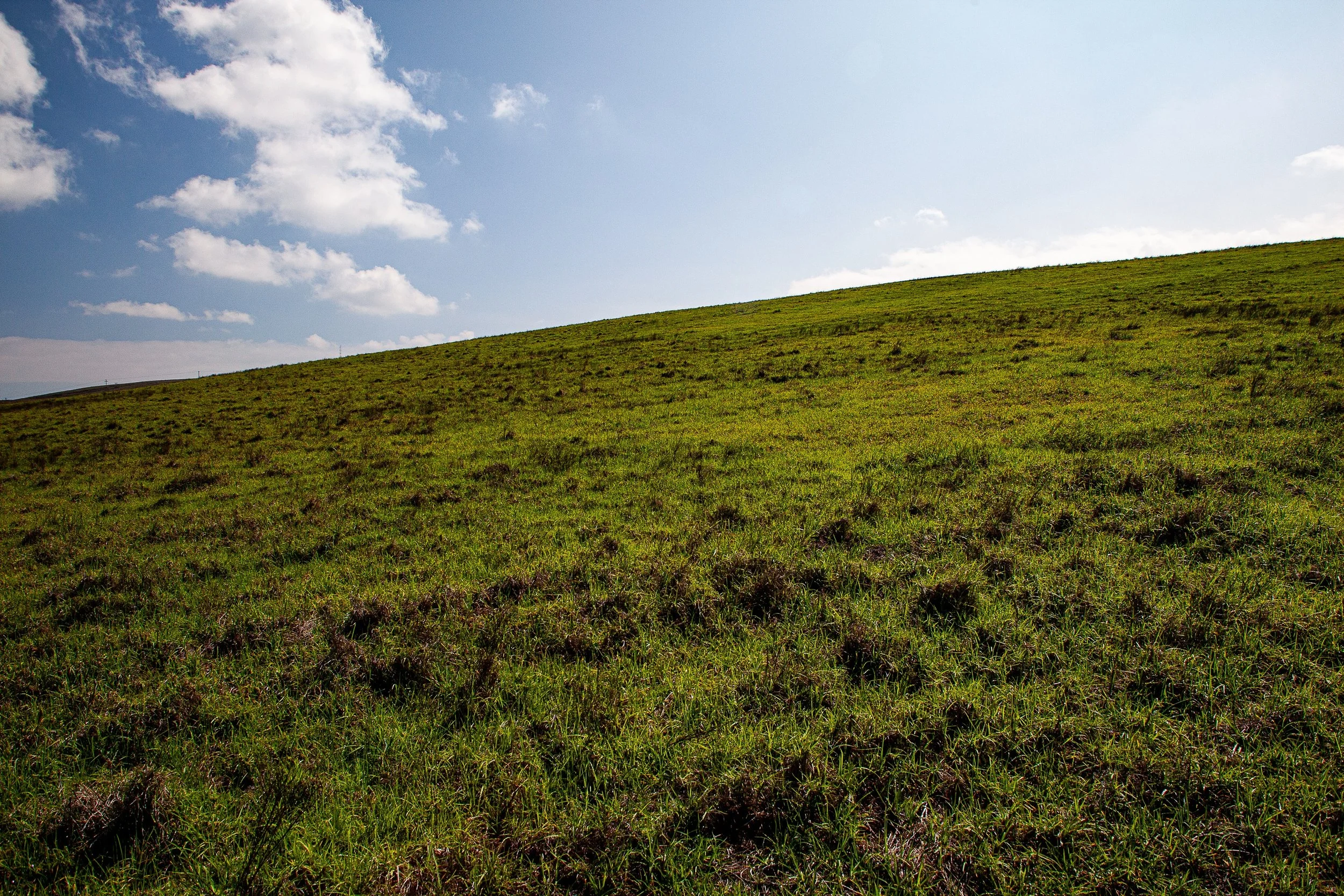Complete uncropped artwork for The Green Incline, showing a simple grassy slope rises diagonally beneath an open sky with scattered clouds