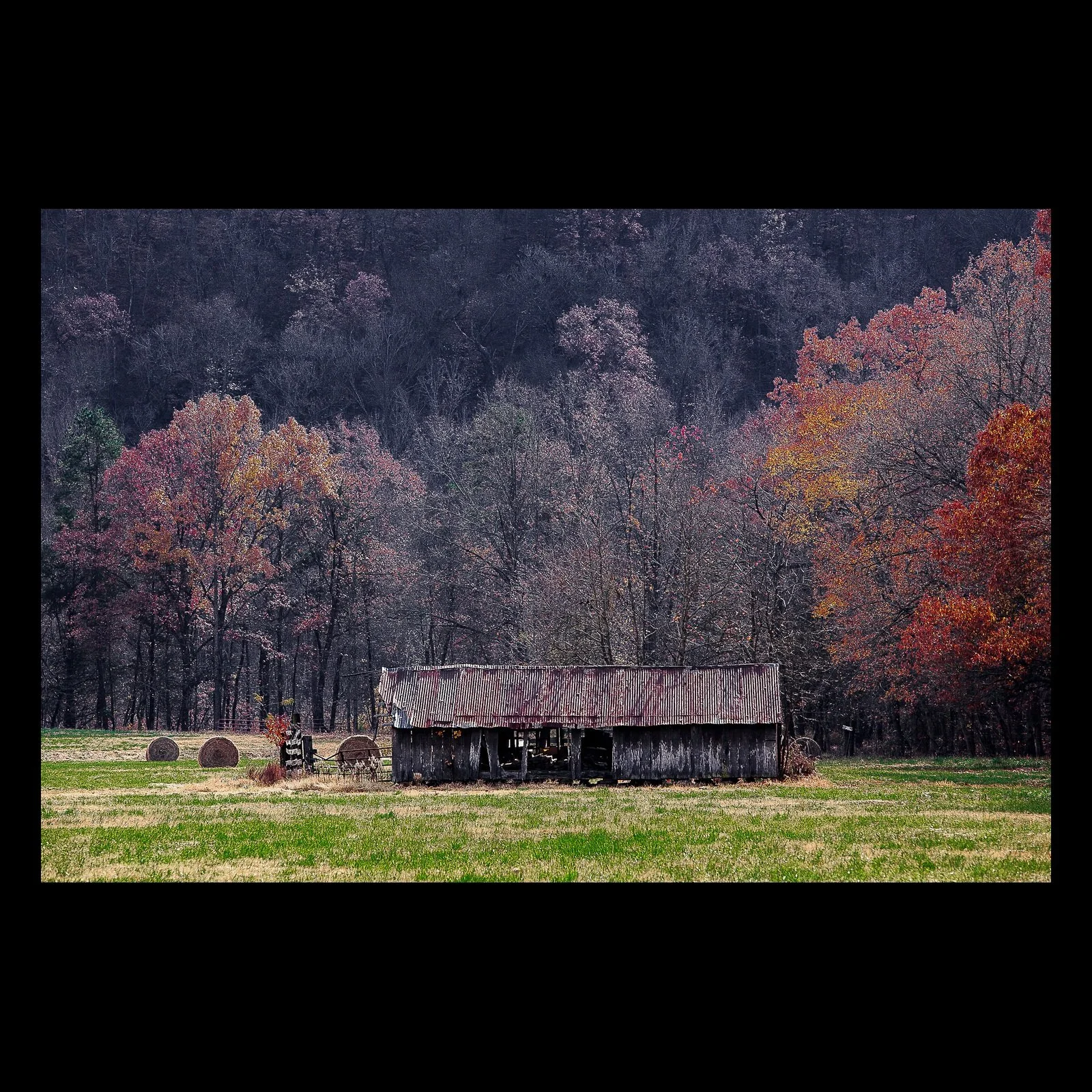 Full-frame black presentation thumbnail of Autumn Holding, showing an old open-sided barn stands in a field backed by trees turning red and orange