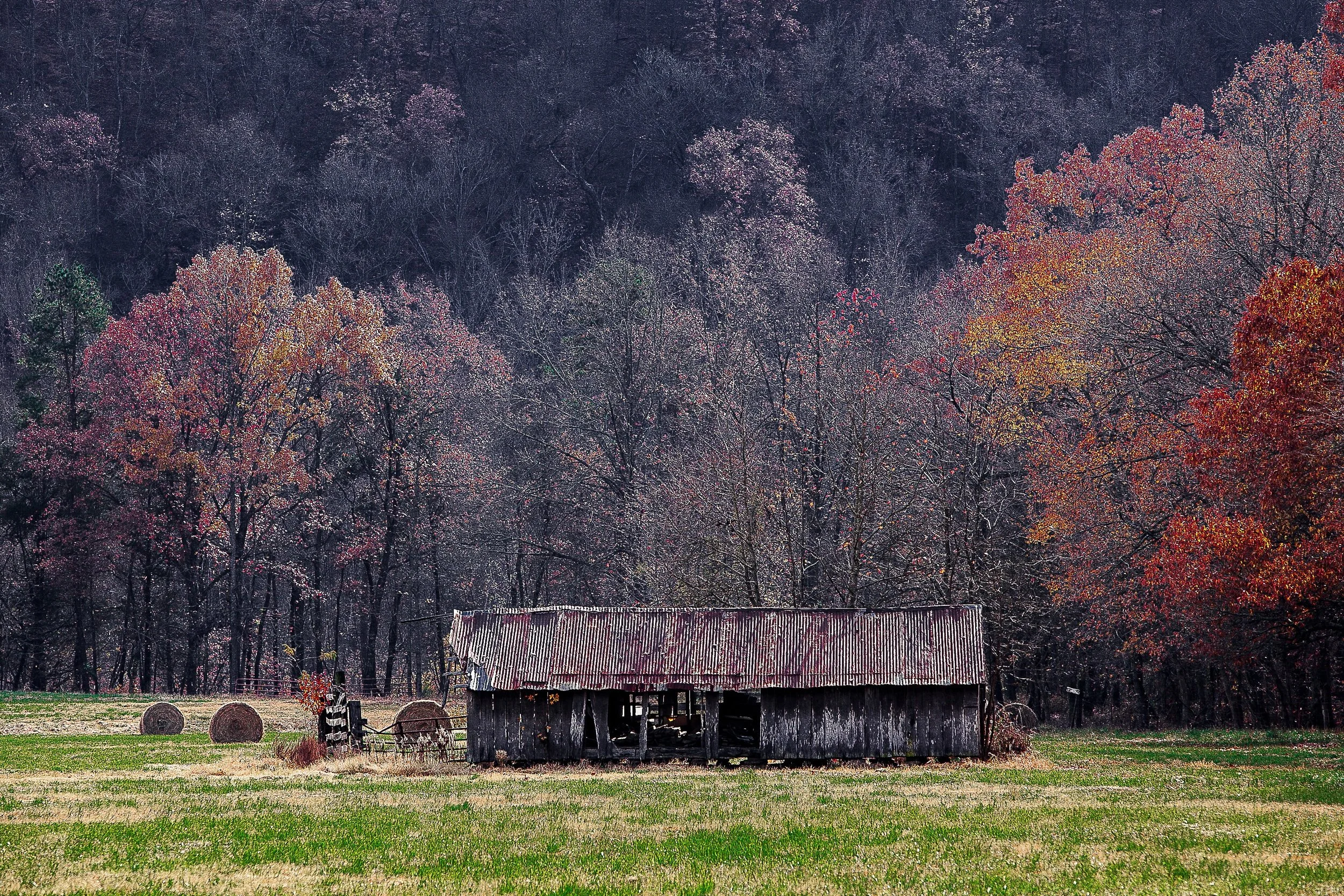 Complete uncropped artwork for Autumn Holding, showing an old open-sided barn stands in a field backed by trees turning red and orange