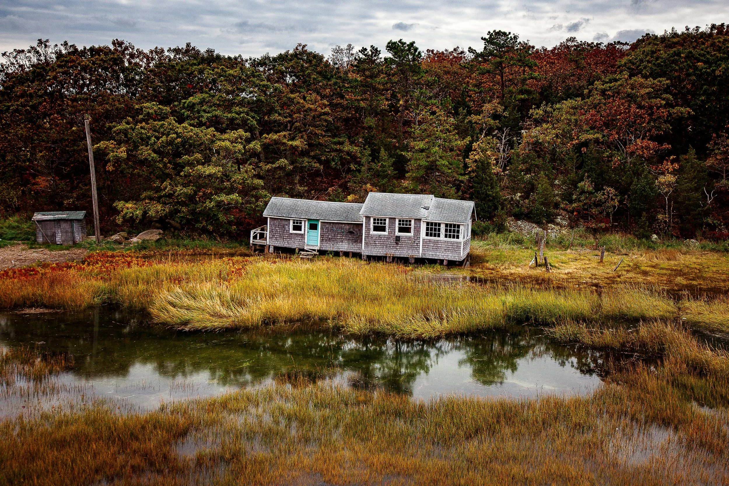 Complete uncropped artwork for Salt Marsh Quiet, showing a weathered cottage reflects in still marsh water beneath autumn-colored trees