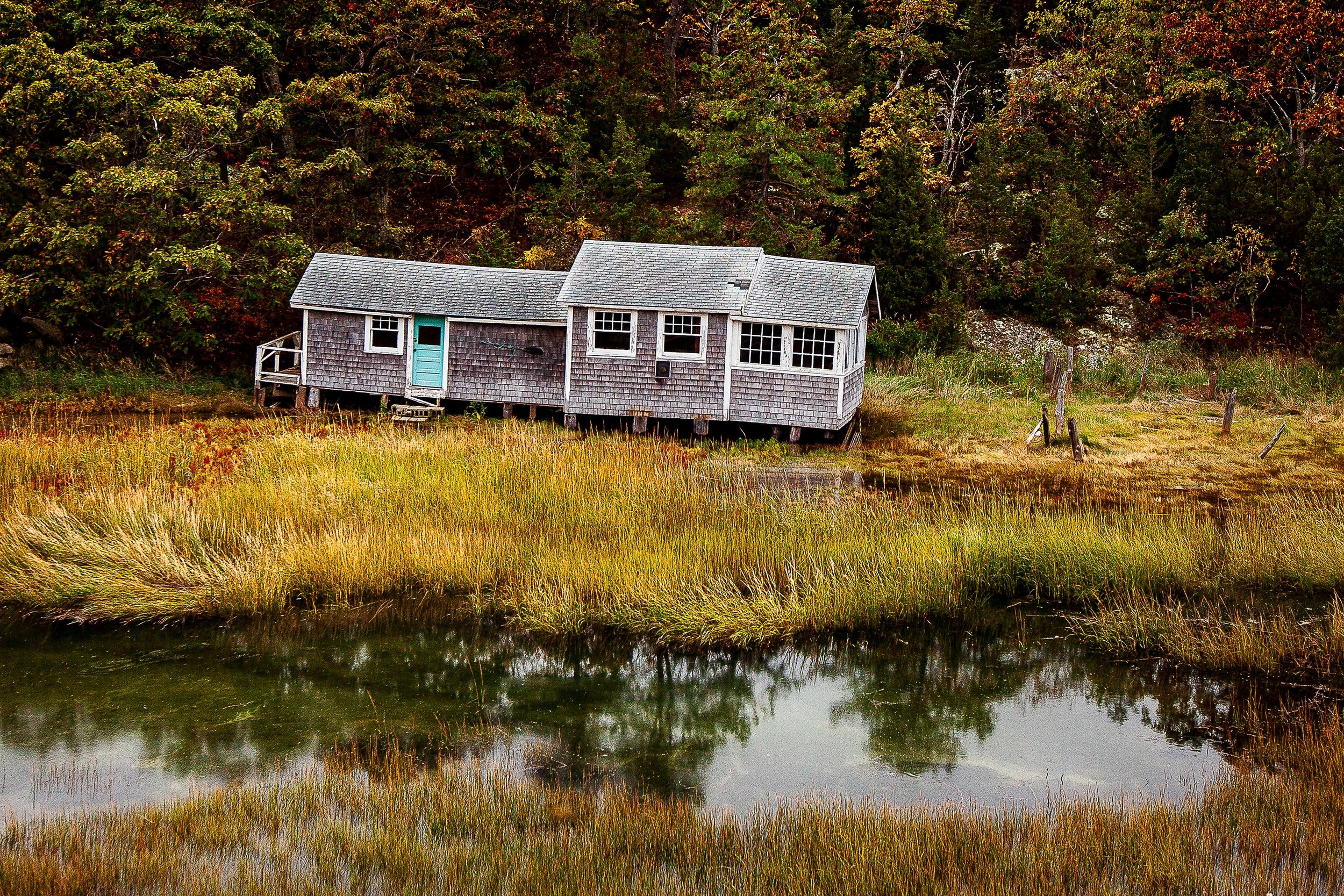 Detail crop from Salt Marsh Quiet, emphasizing grasses, windows, and reflected rooflines create several quiet layers of texture