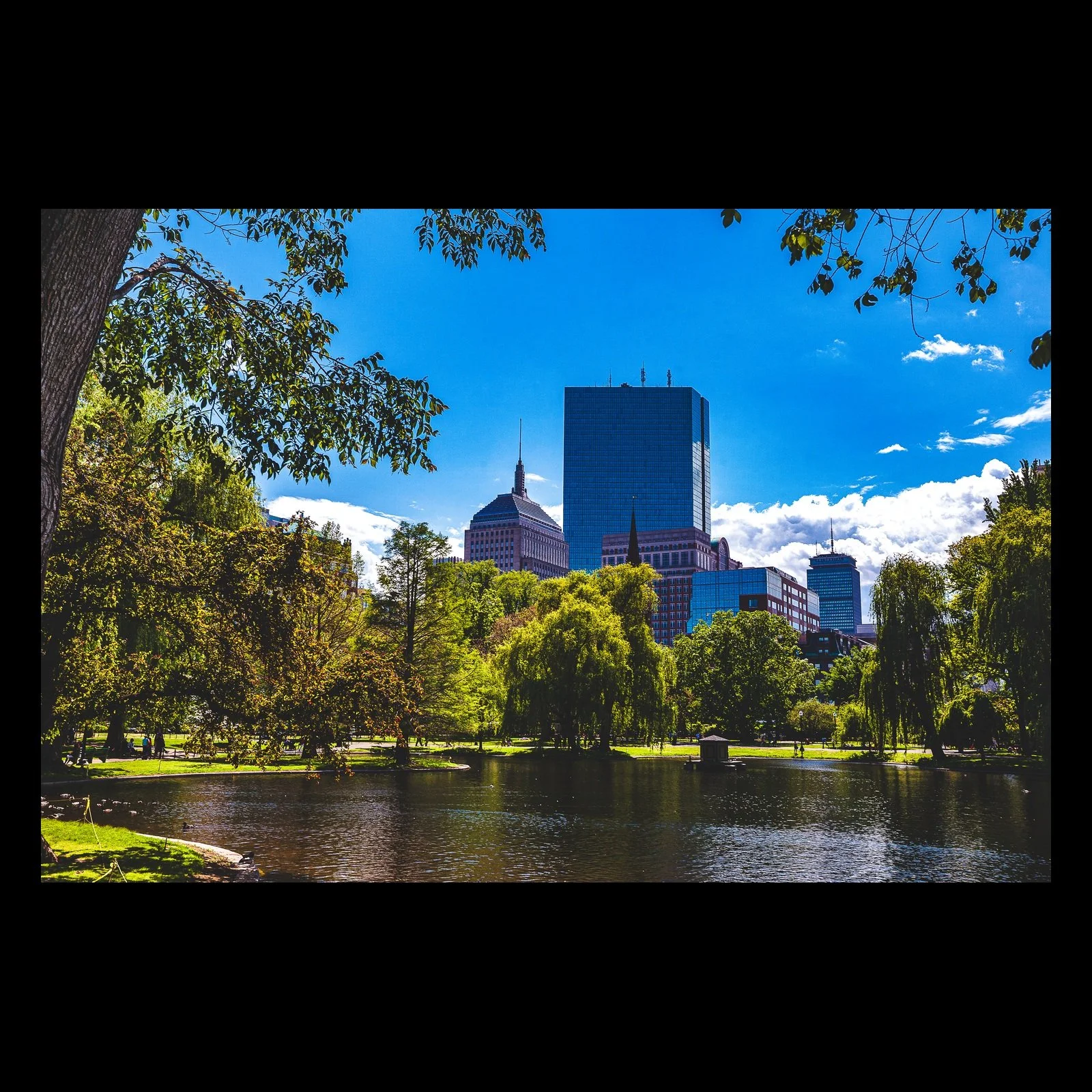 Full-frame black presentation thumbnail of Parkside Geometry, showing modern towers rise beyond green trees and reflective park water under a bright blue sky