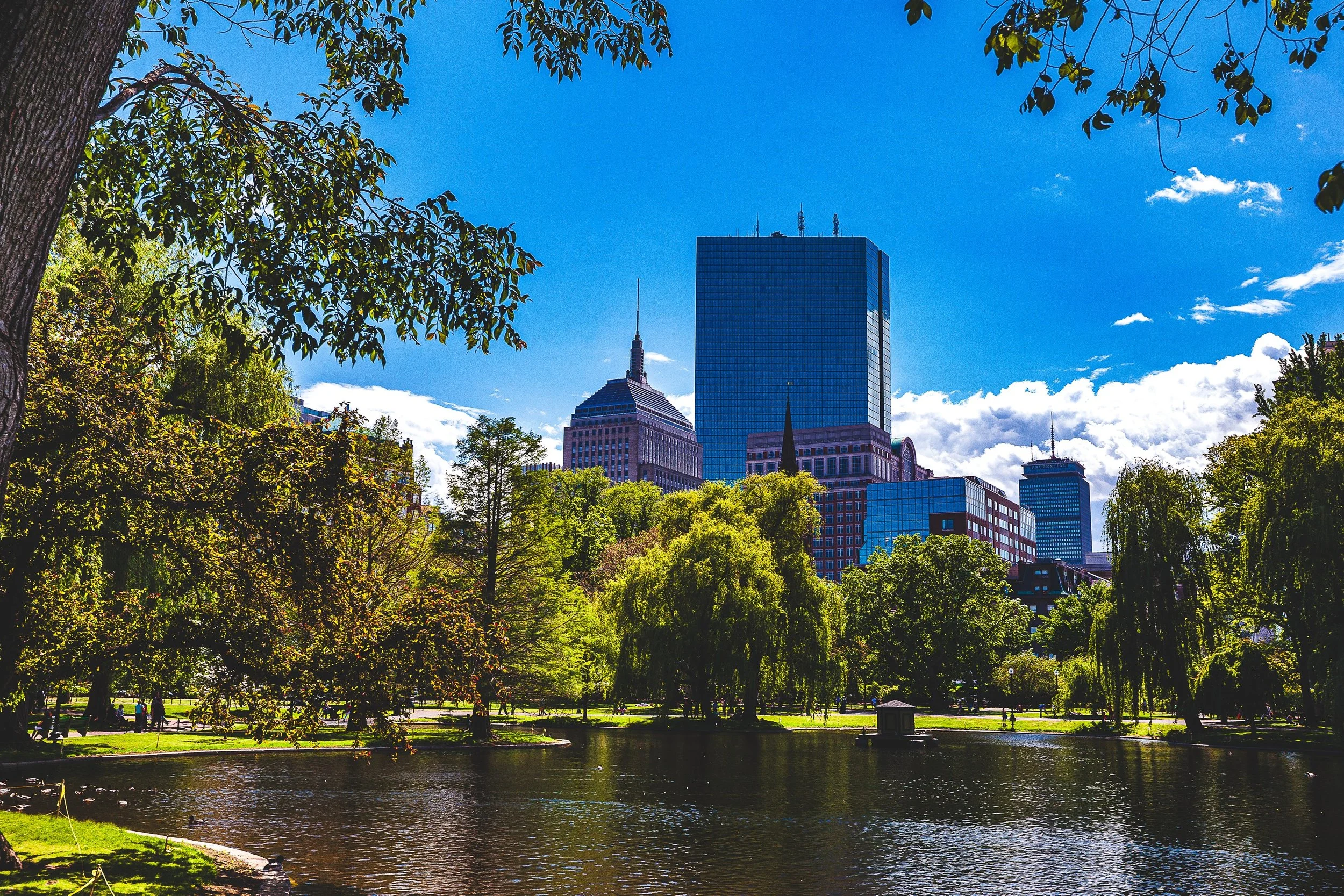 Complete uncropped artwork for Parkside Geometry, showing modern towers rise beyond green trees and reflective park water under a bright blue sky
