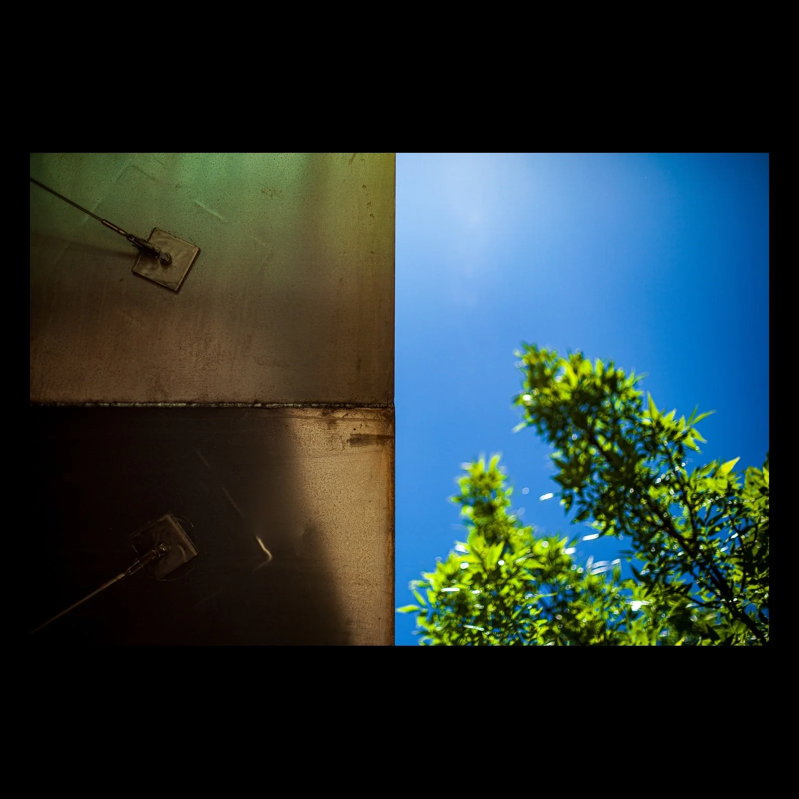 Full-frame black presentation thumbnail of Divide in Blue, showing a hard architectural edge separates dark metal from bright blue sky and green leaves