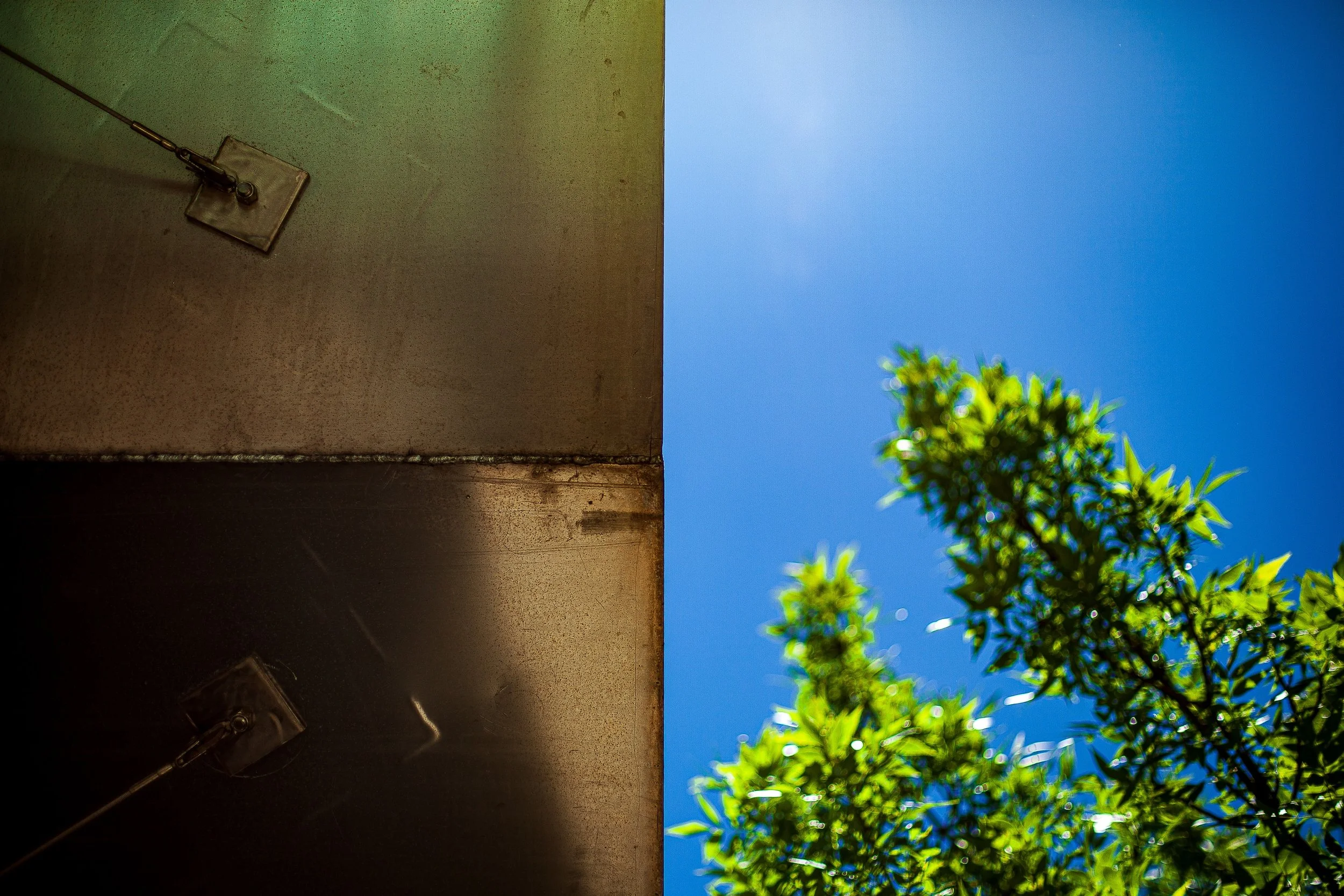 Complete uncropped artwork for Divide in Blue, showing a hard architectural edge separates dark metal from bright blue sky and green leaves