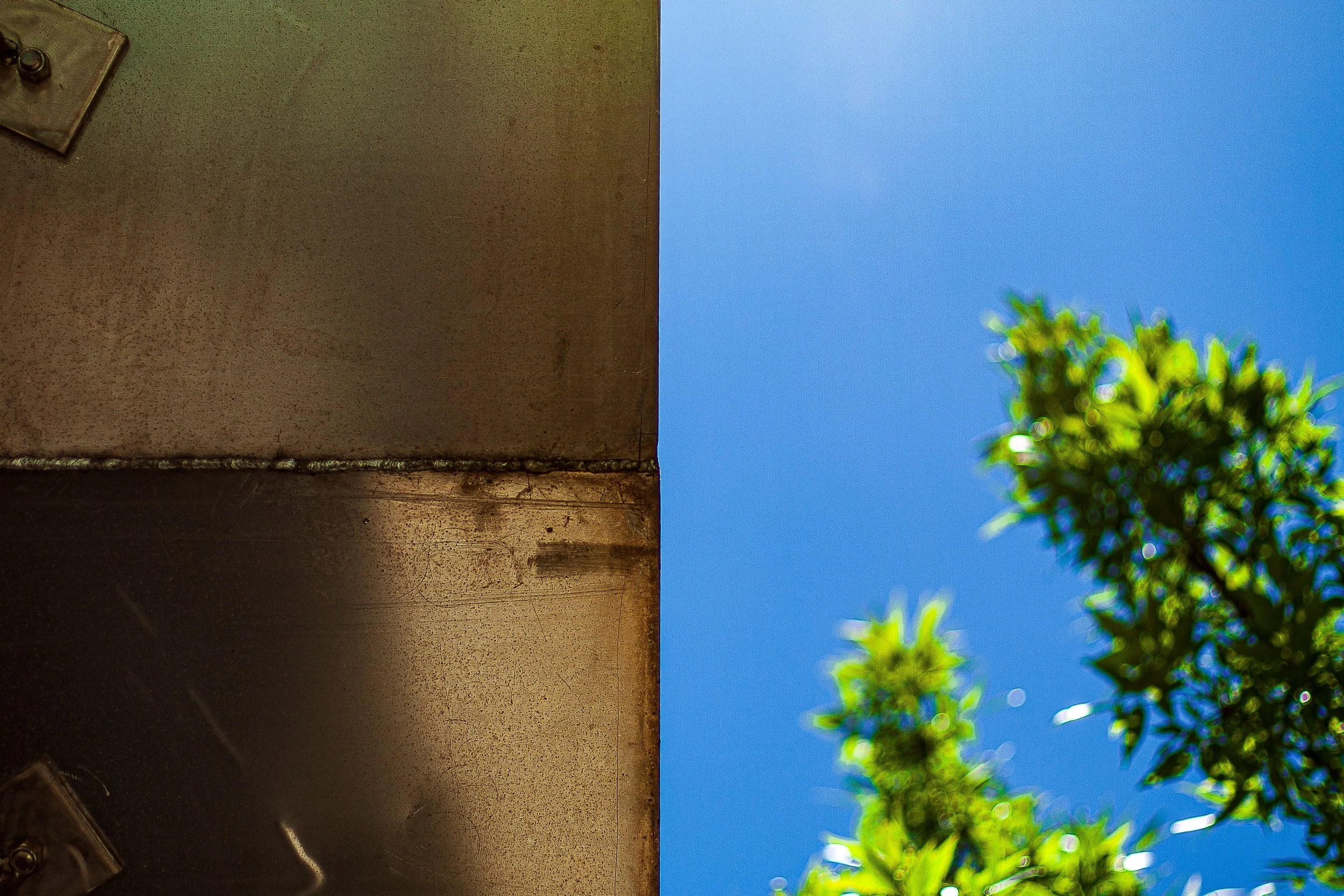 Detail crop from Divide in Blue, emphasizing small bolts, shadows, and leaf edges complicate the apparent simplicity