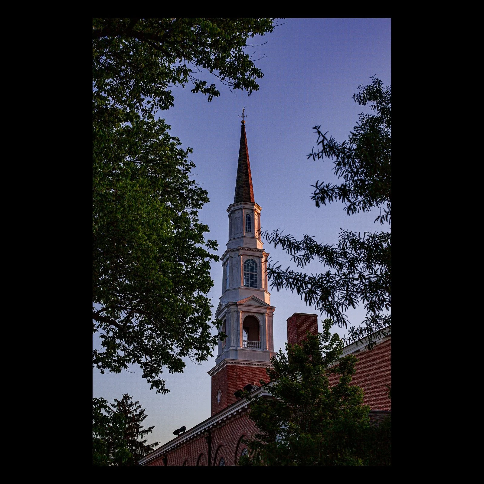 Full-frame black presentation thumbnail of Steeple at Blue Hour, showing a slender church steeple rises between dark trees into a violet evening sky