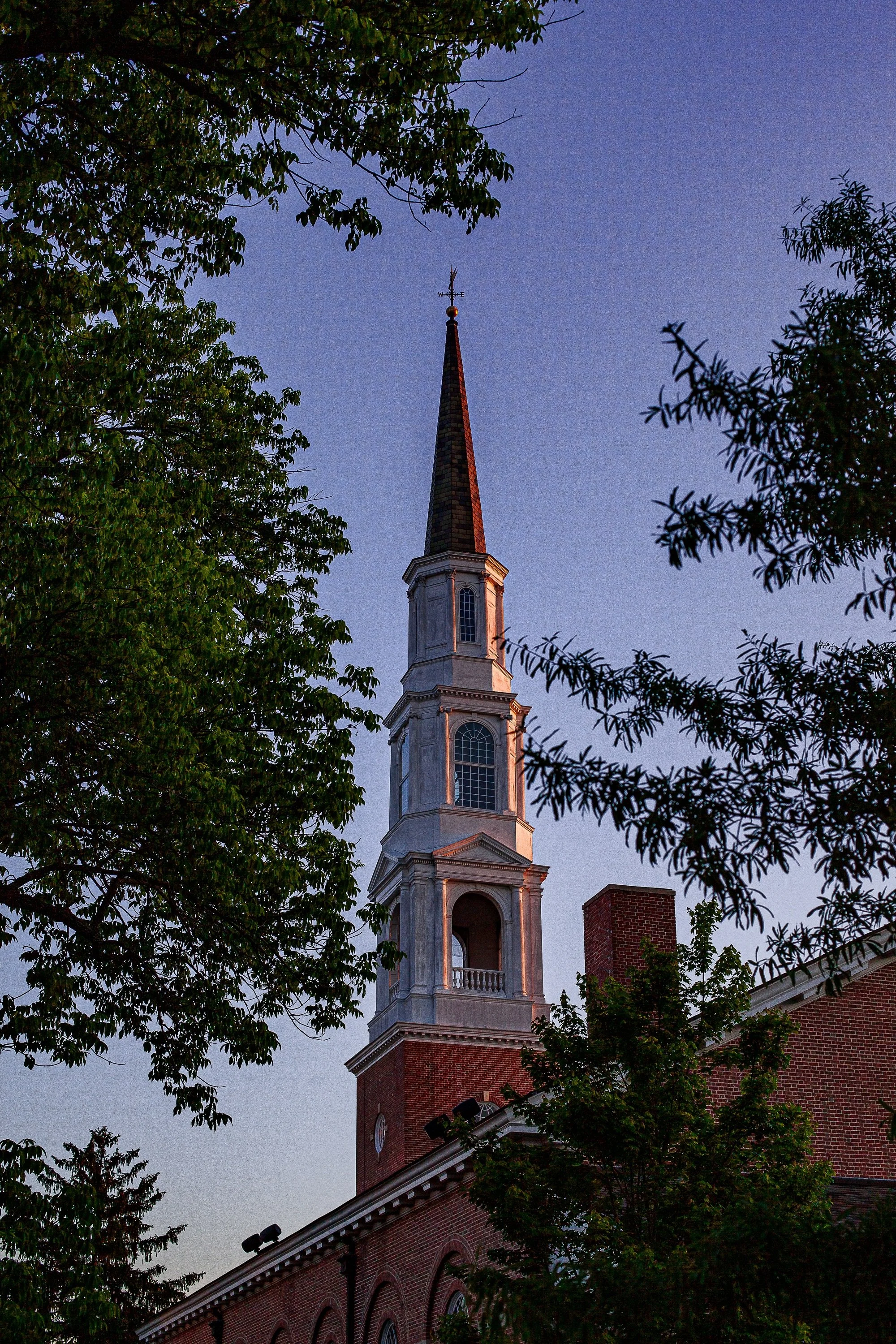 Complete uncropped artwork for Steeple at Blue Hour, showing a slender church steeple rises between dark trees into a violet evening sky