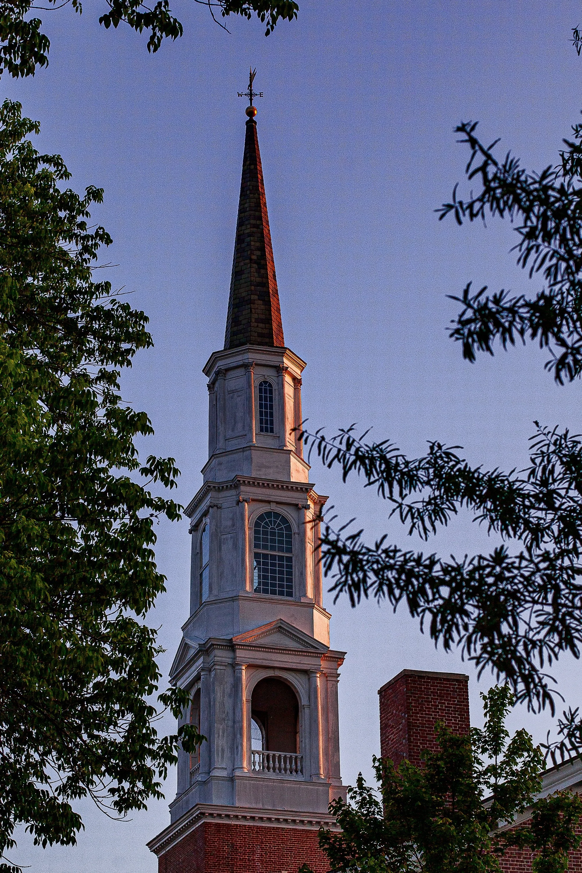 Detail crop from Steeple at Blue Hour, emphasizing small bands of white trim become clearer against the surrounding foliage