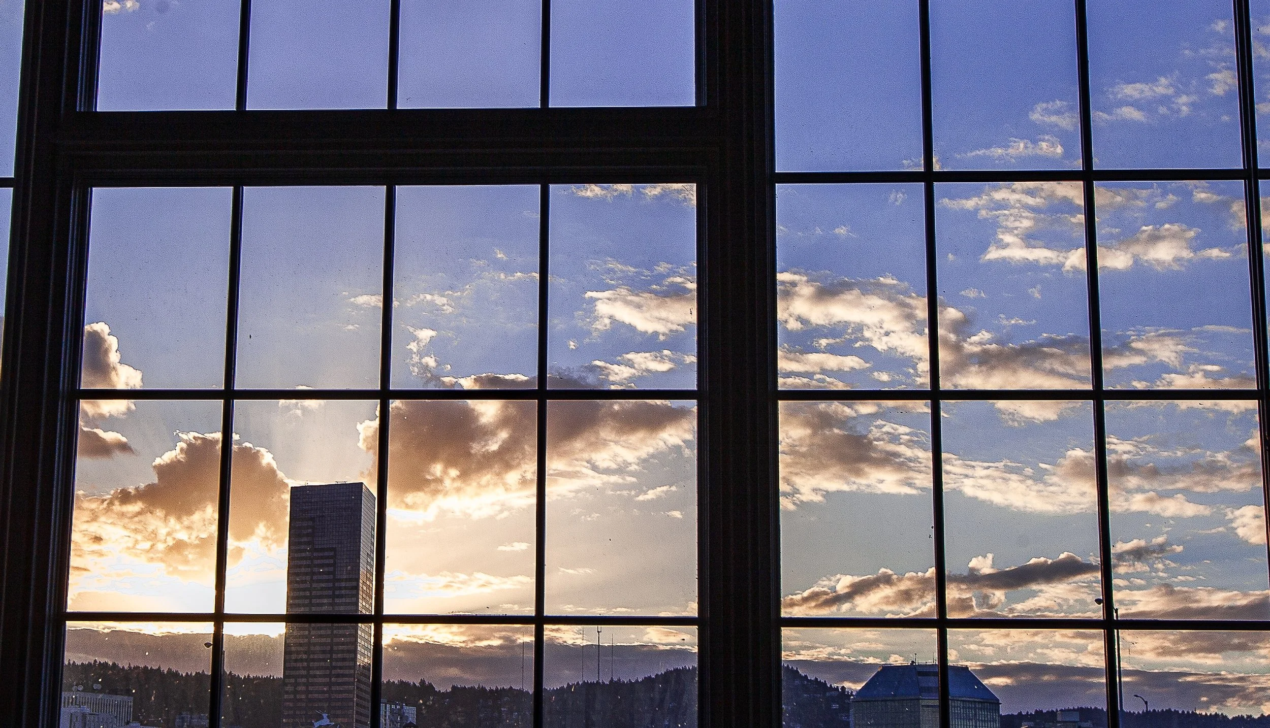 Detail crop from Window Weather, emphasizing reflections and interior shadows complicate the apparent view outside