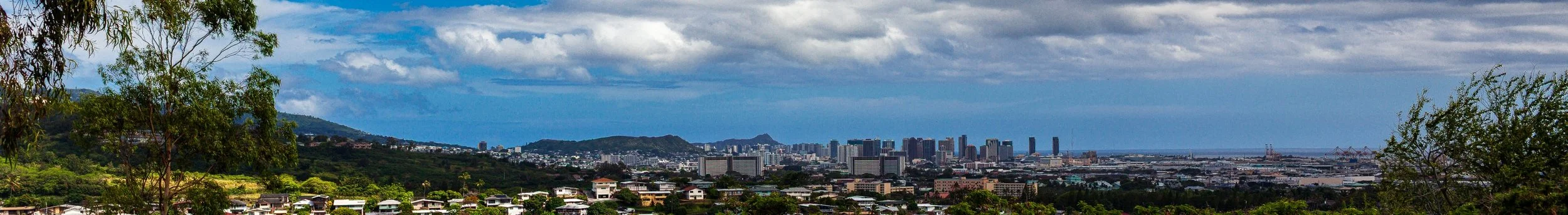 Complete uncropped artwork for City Beyond the Trees, showing a distant city and coastline appear through a foreground of trees in a narrow panorama