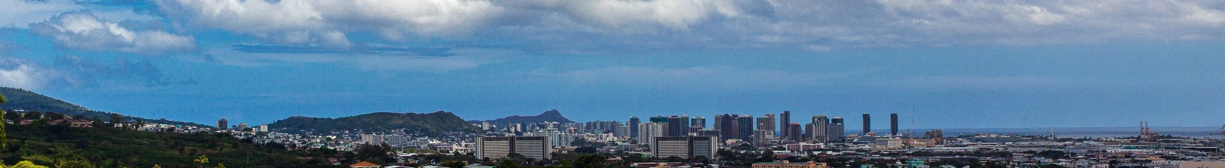 Detail crop from City Beyond the Trees, emphasizing branches and rooflines create depth before the eye reaches the skyline