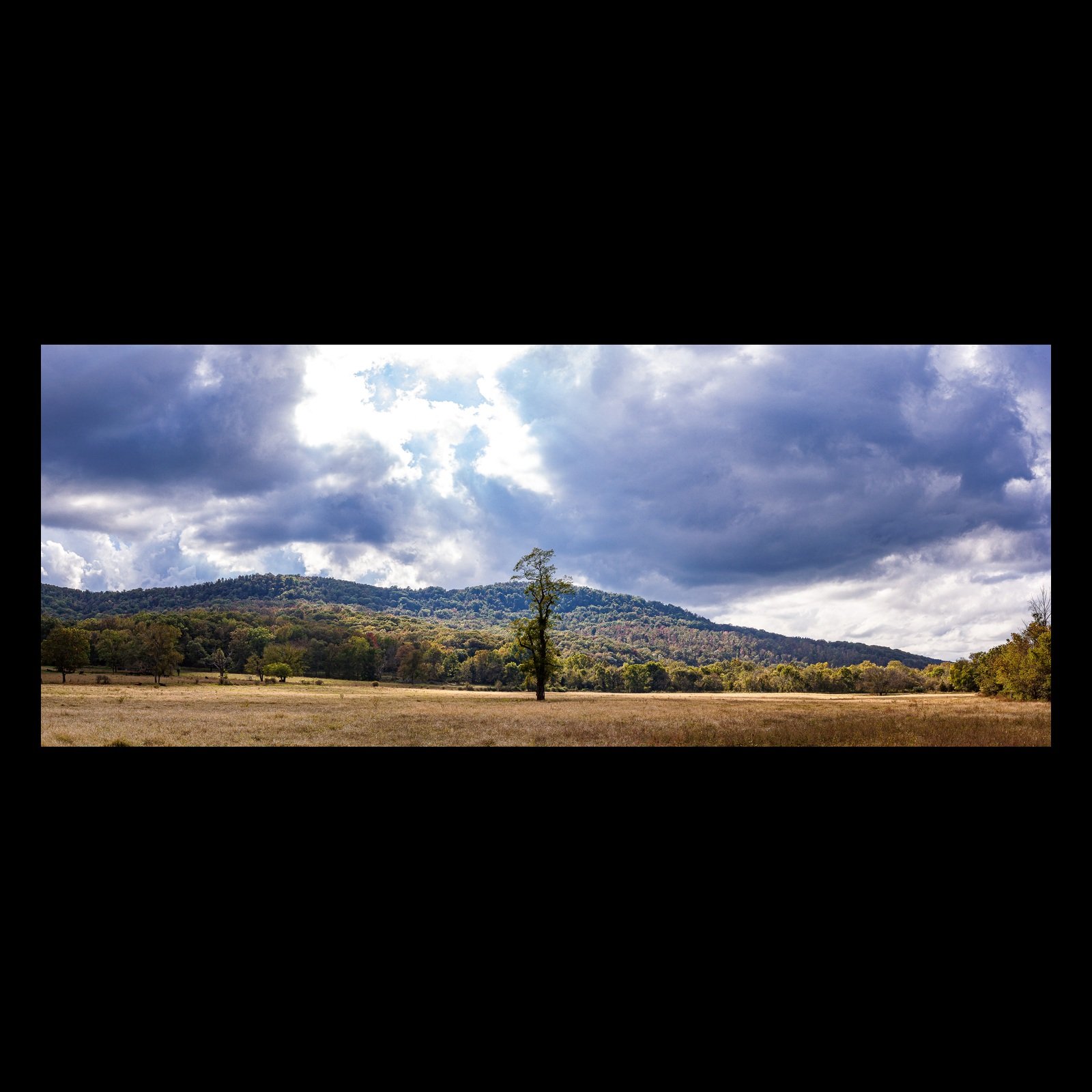 Full-frame black presentation thumbnail of Lone Tree, Moving Weather, showing a single tree stands in an open field beneath large broken storm clouds