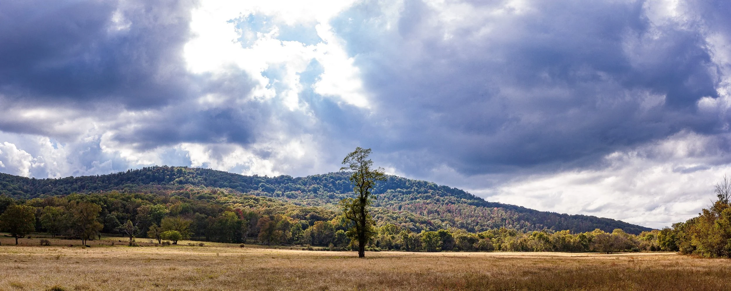 Complete uncropped artwork for Lone Tree, Moving Weather, showing a single tree stands in an open field beneath large broken storm clouds