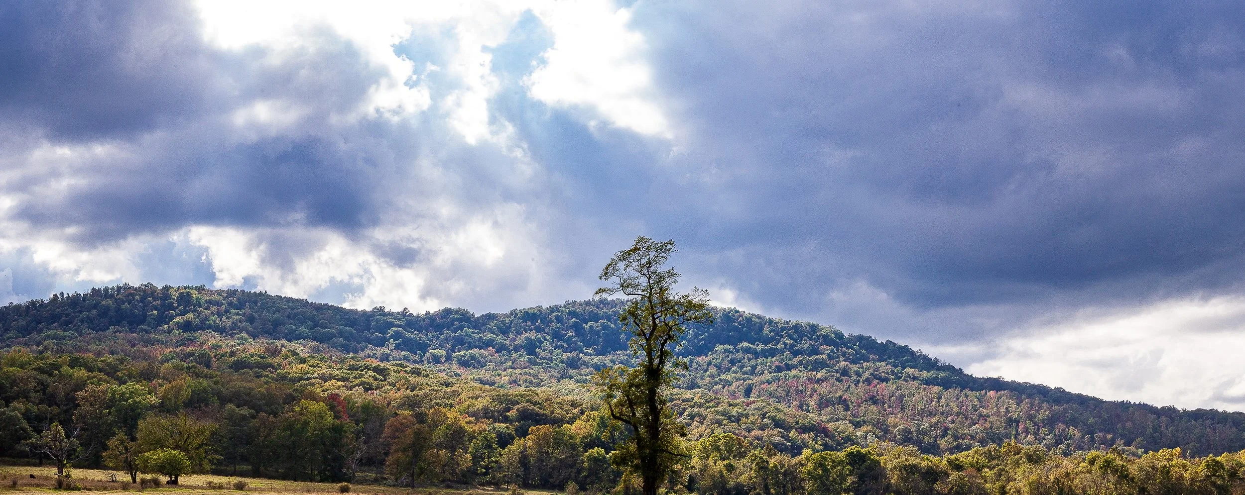 Detail crop from Lone Tree, Moving Weather, emphasizing distant ridges and bands of grass become more noticeable around the isolated tree