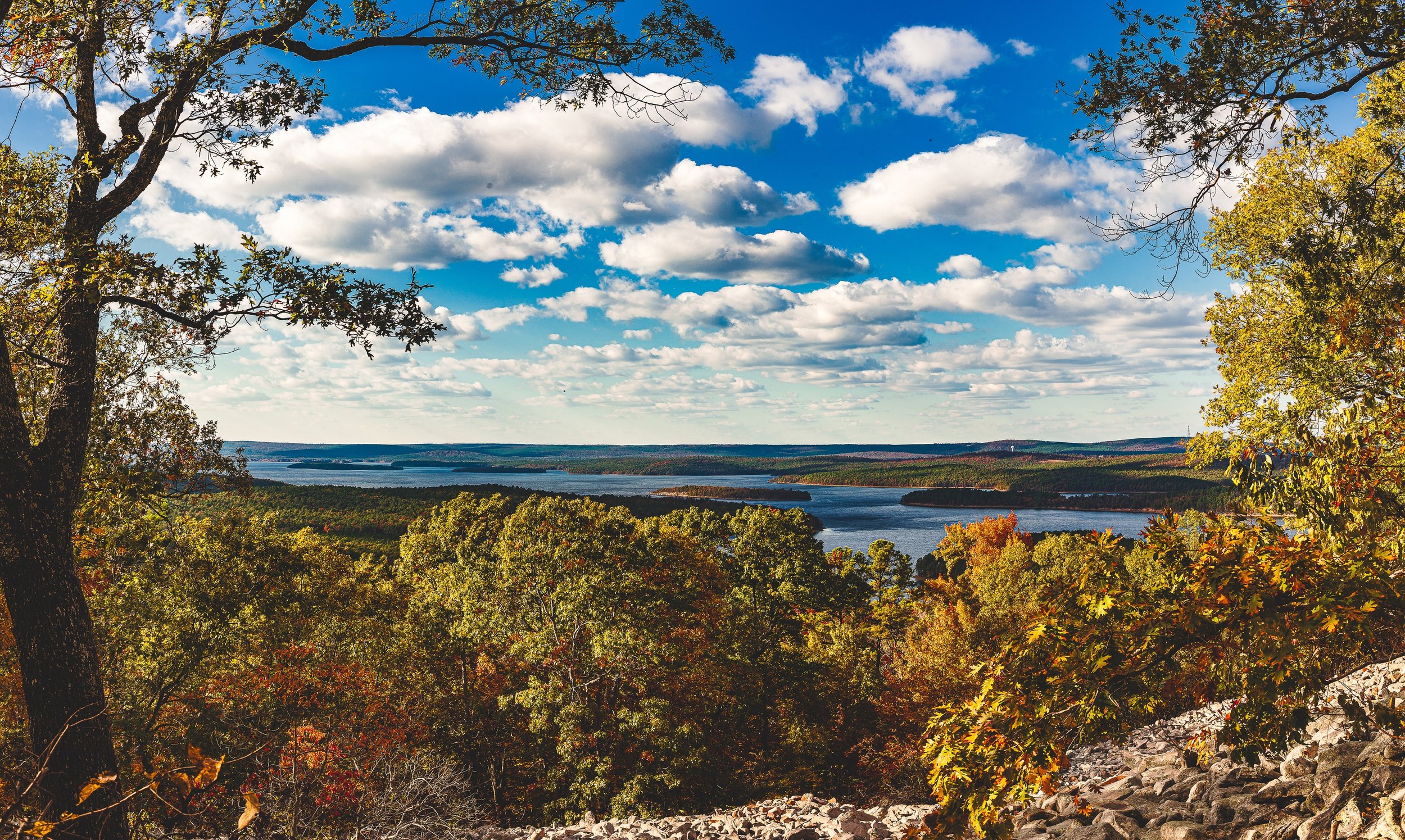 Complete uncropped artwork for Autumn Lookout, showing golden trees frame a broad lake and distant rolling terrain under blue sky and white clouds