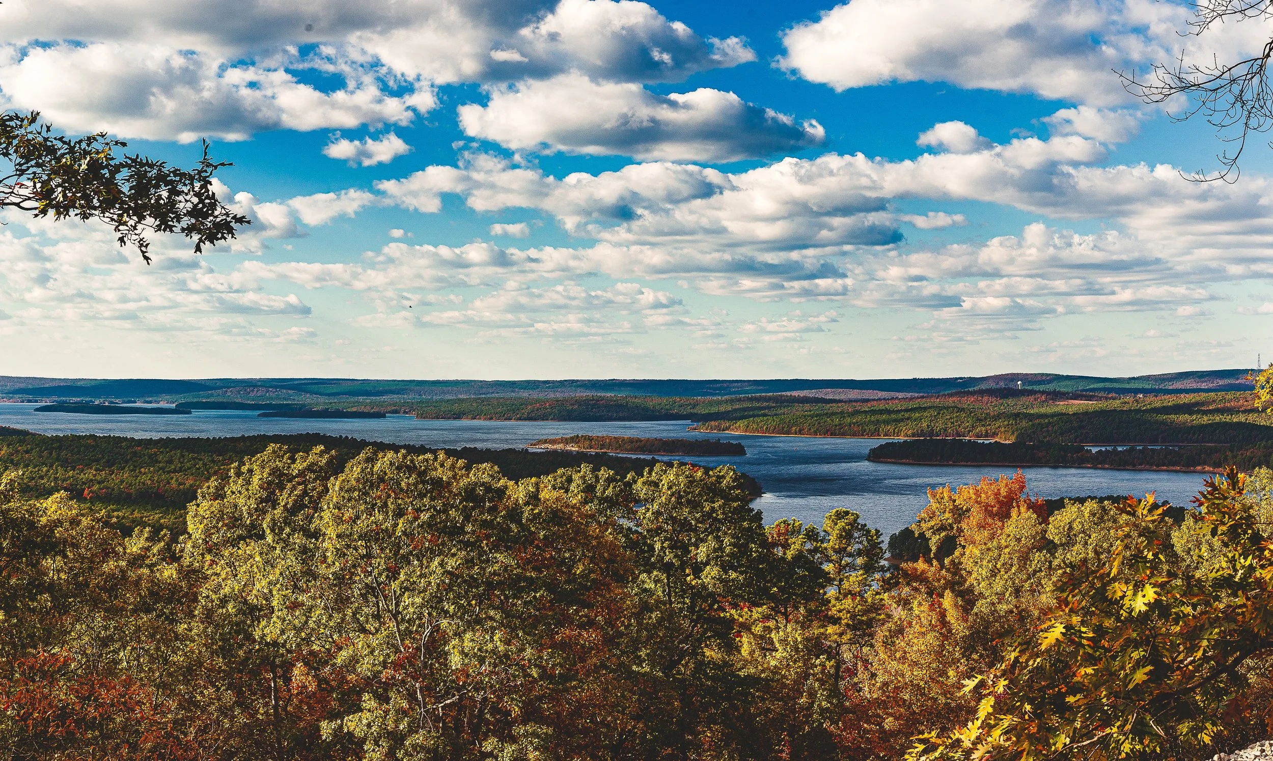 Detail crop from Autumn Lookout, emphasizing shorelines and color changes guide the eye gradually across the distance