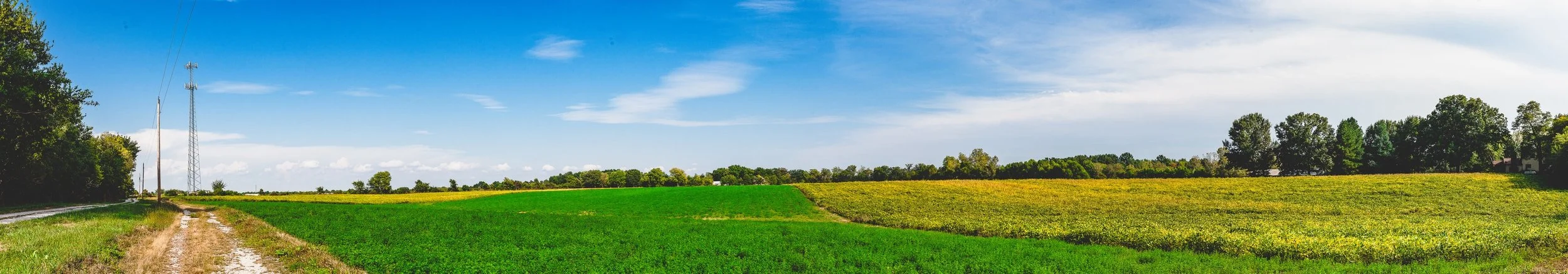 Complete uncropped artwork for Road Through Green, showing a pale rural road runs beside a vivid green field beneath a wide open sky