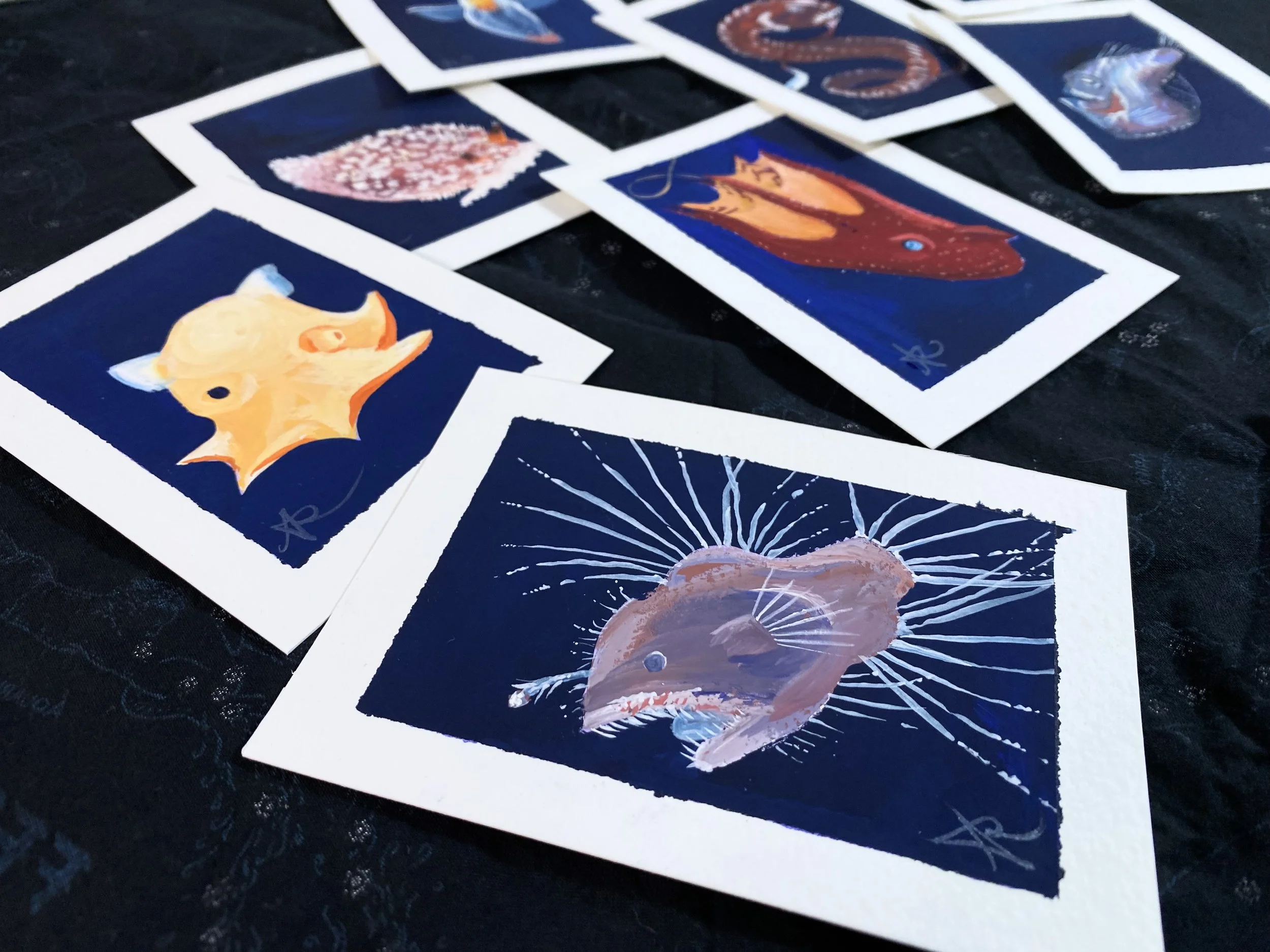 Deep Ocean Species Paintings & Mini-Oracle Deck 