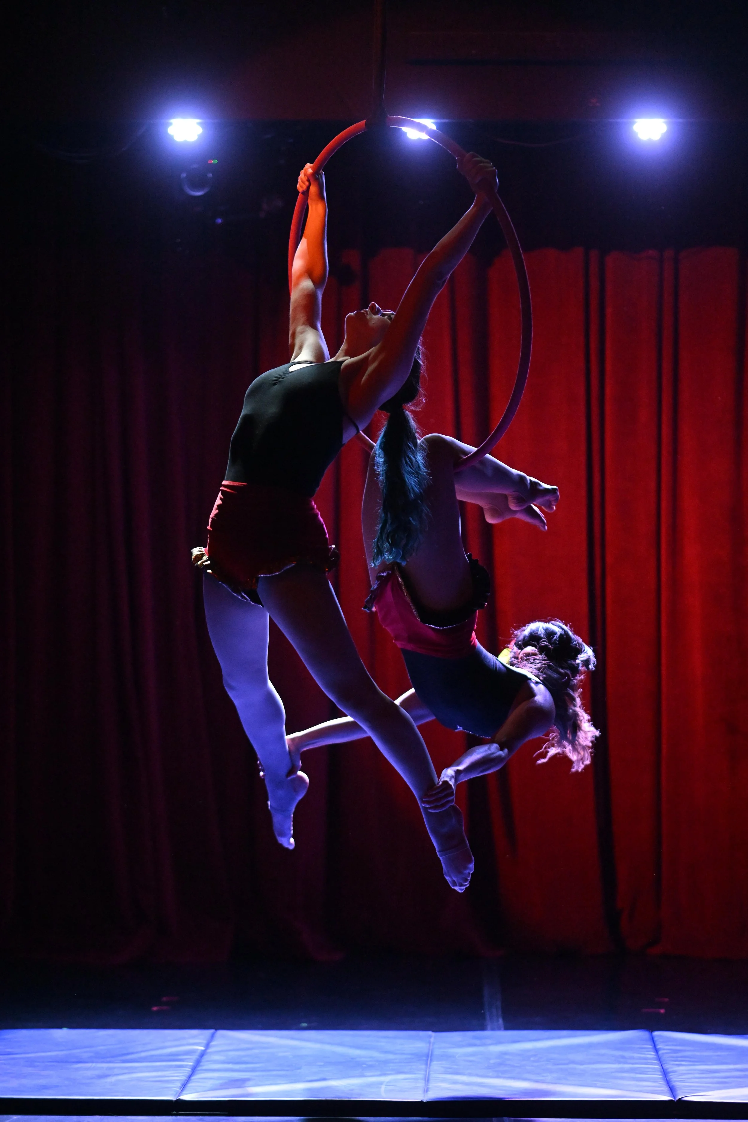 Photo: David Treadwell