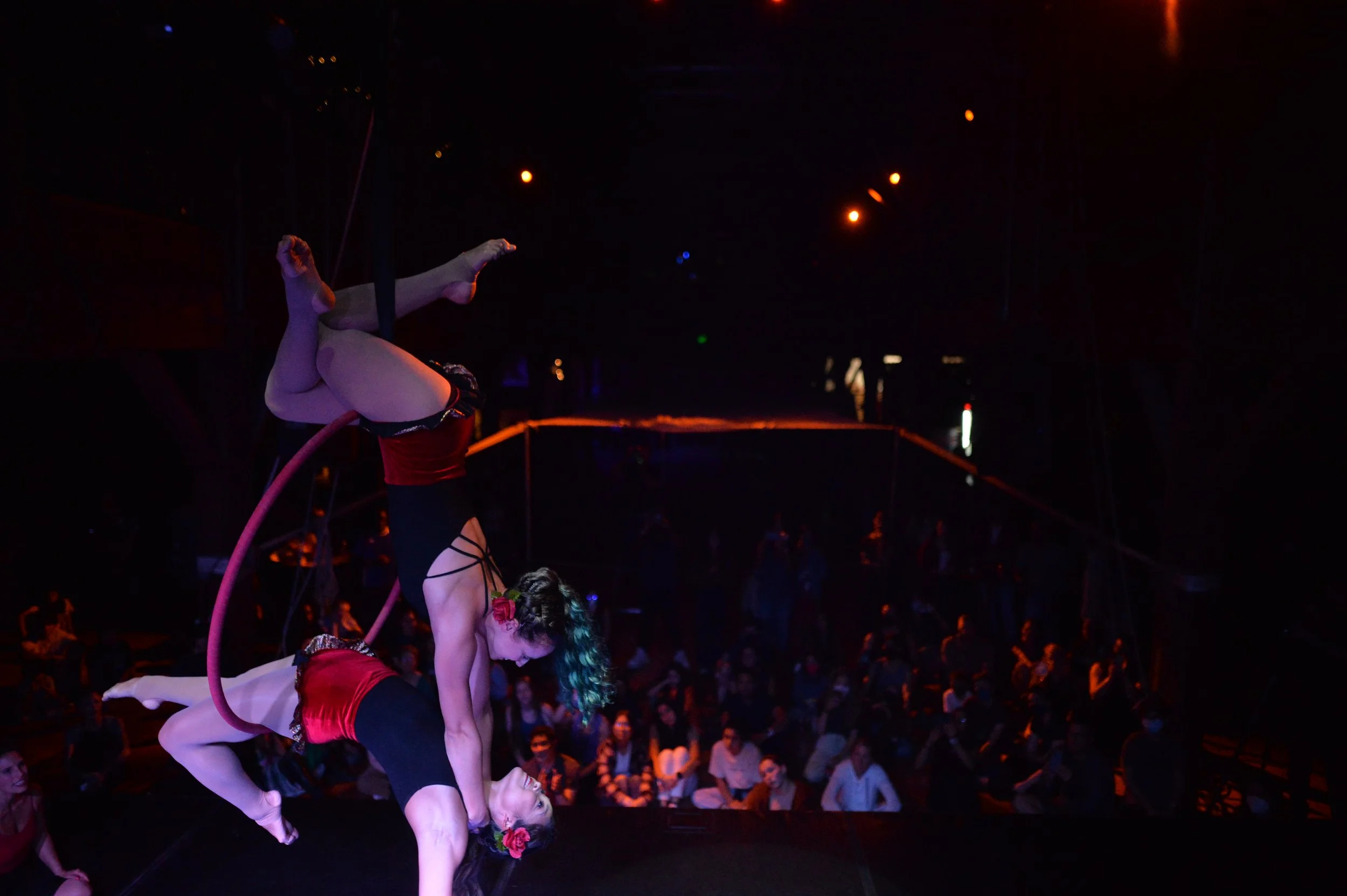 Photo: David Treadwell