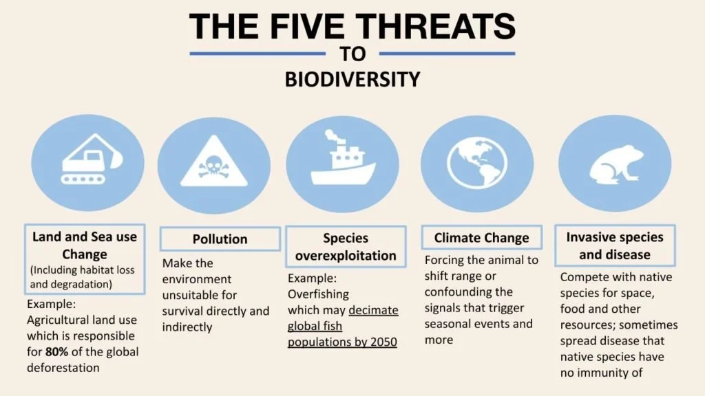 How the Loss of Biodiversity Could Threaten Future Medical Treatments