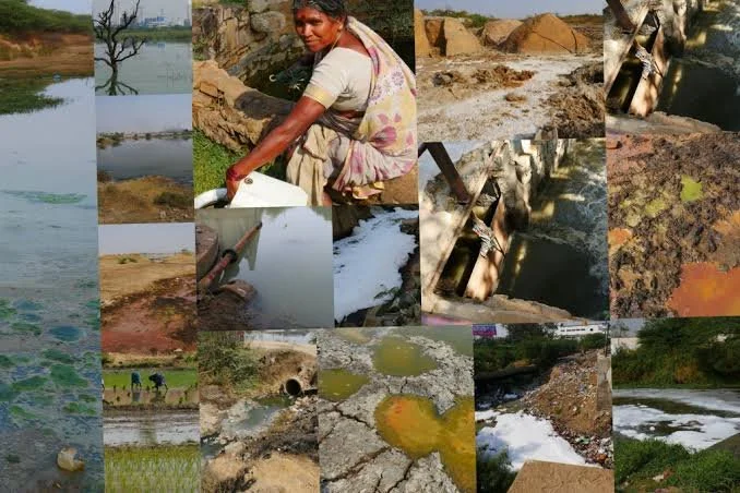 Environmental Impact.jpg