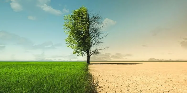 Plants and Climate.jpg