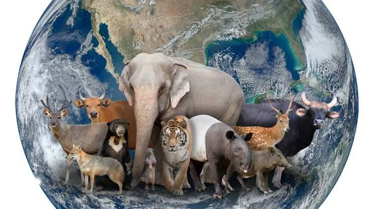 4 Endangered Species.jpg