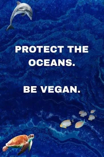 How Veganism Protects Ocean Life